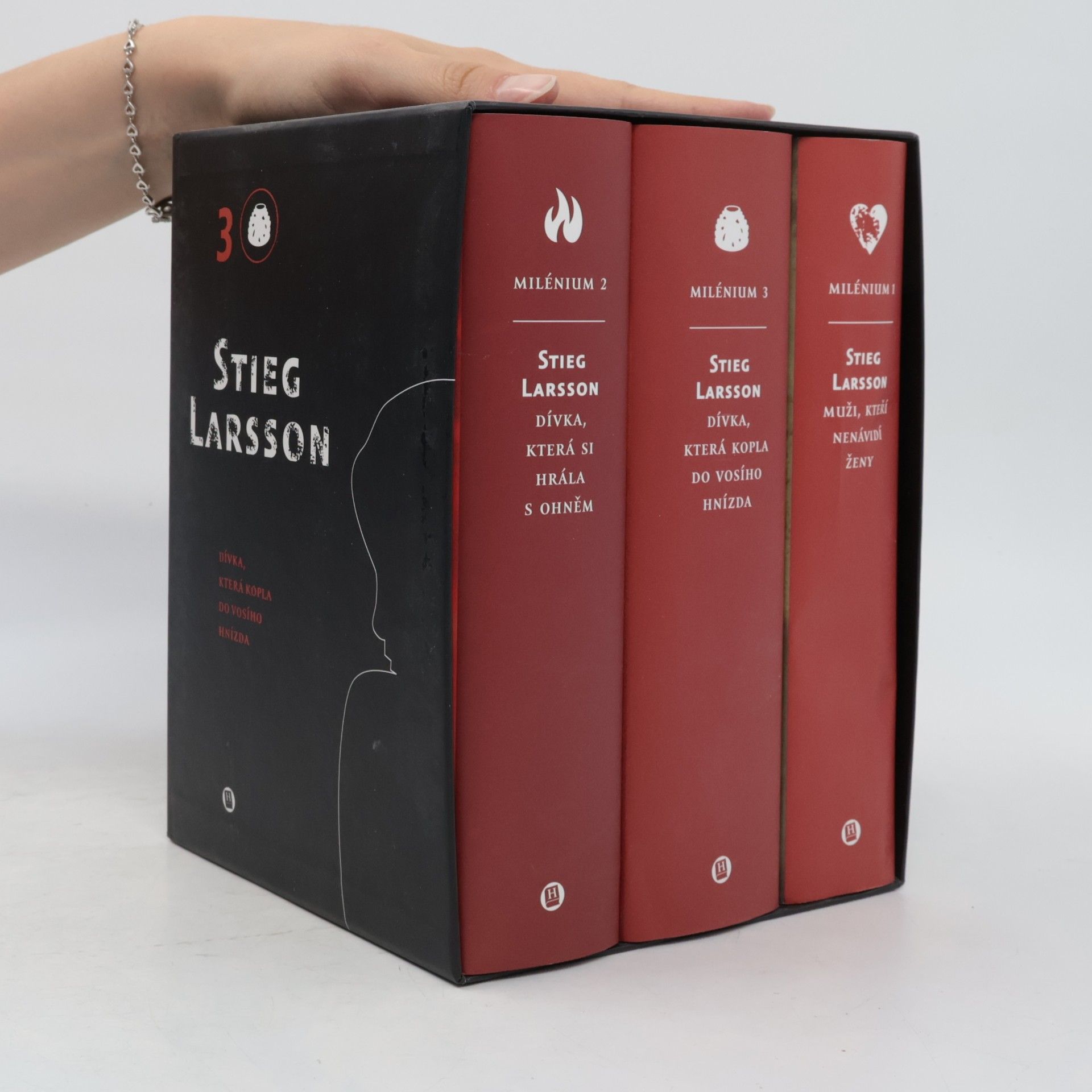 Stieg Larsson Milénium 1-3: Dívka, která kopla do vosího hnízda