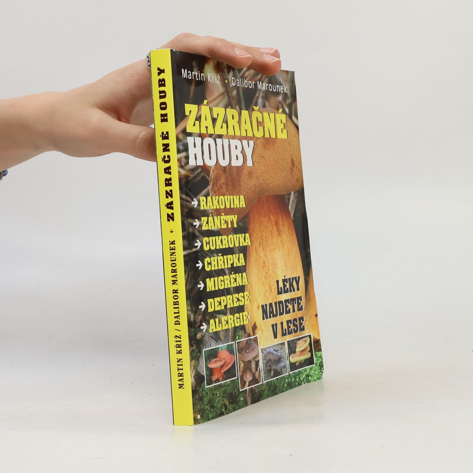 Martin Kříž Zázračné houby : rakovina, záněty, cukrovka, chřipka, migréna, deprese, alergie : léky najdete v lese