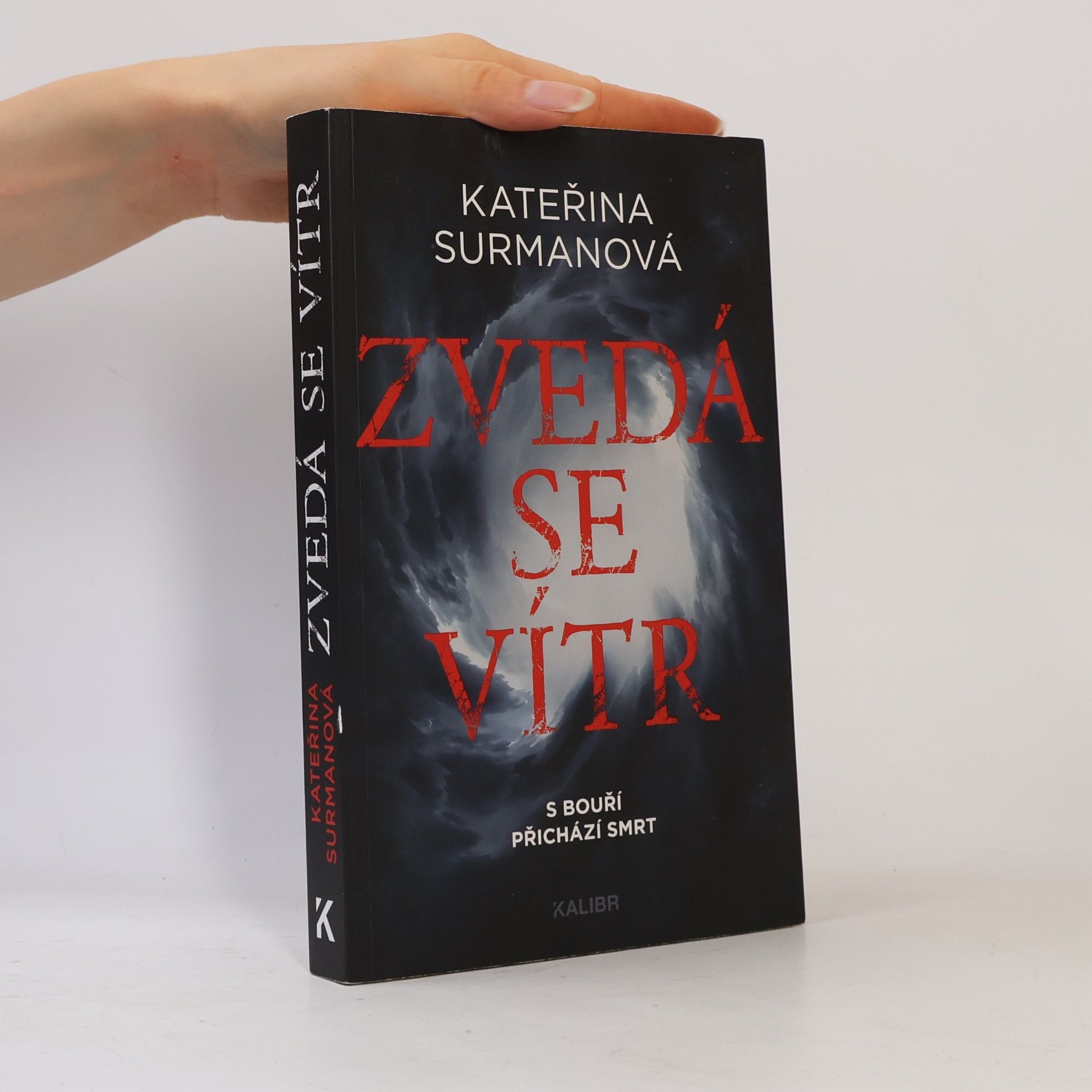 Kateřina Surmanová Zvedá se vítr