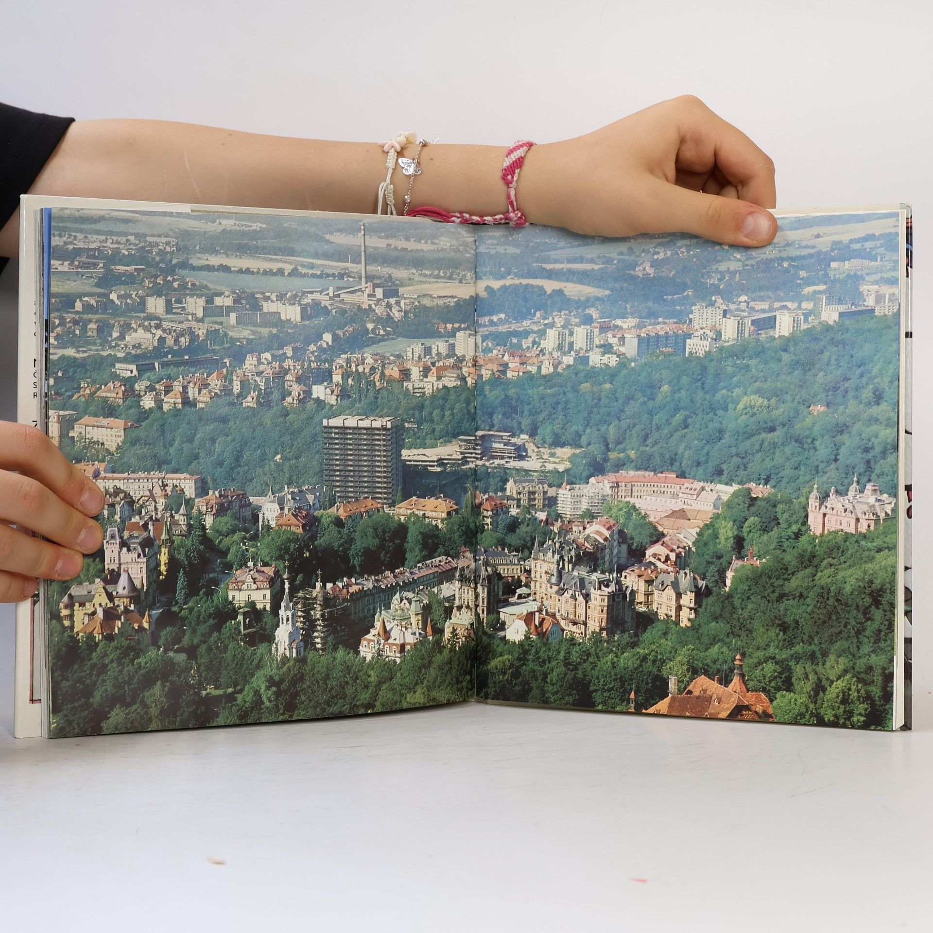 Ladislav Neubert Karlovy Vary