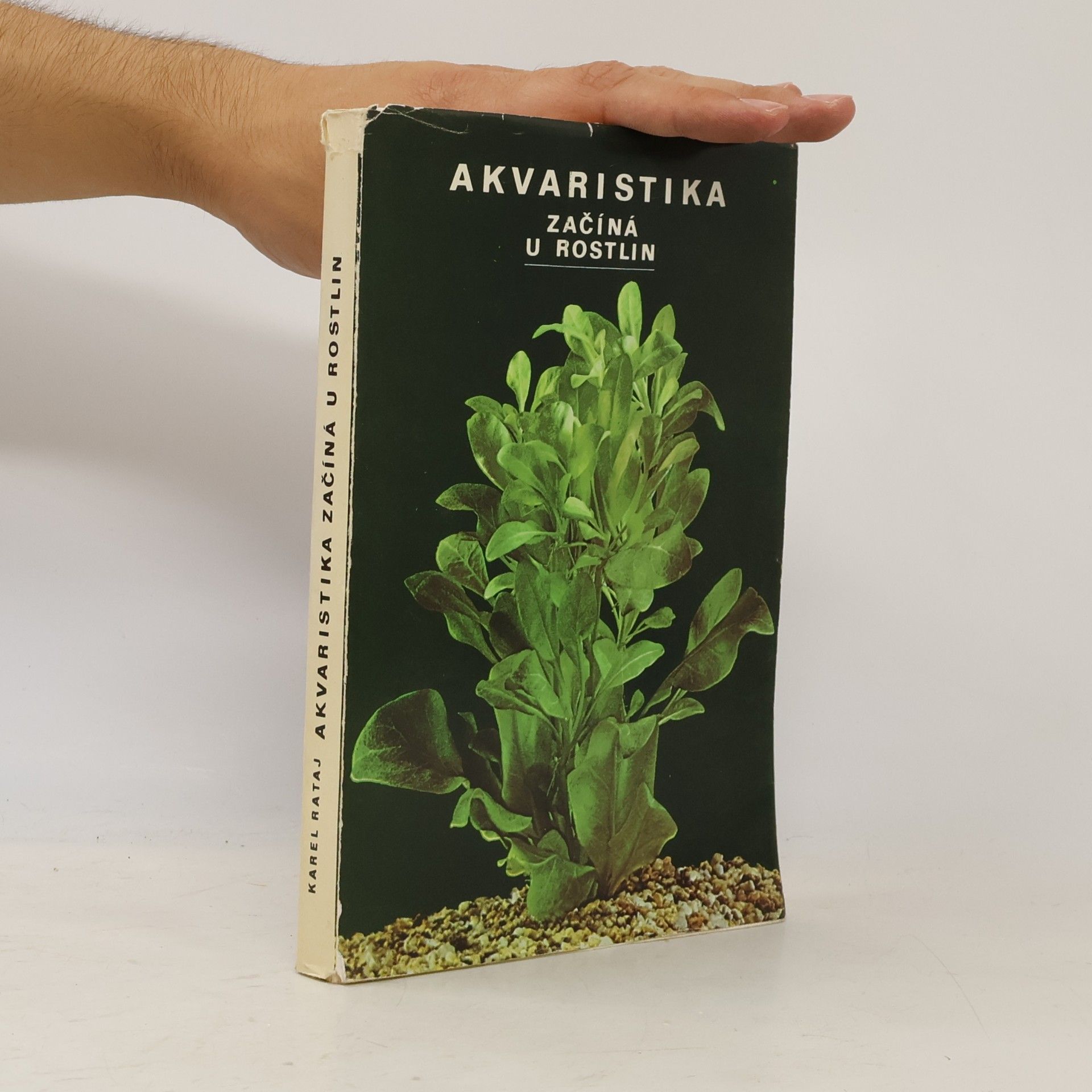 Akvaristika začiná u rostlin