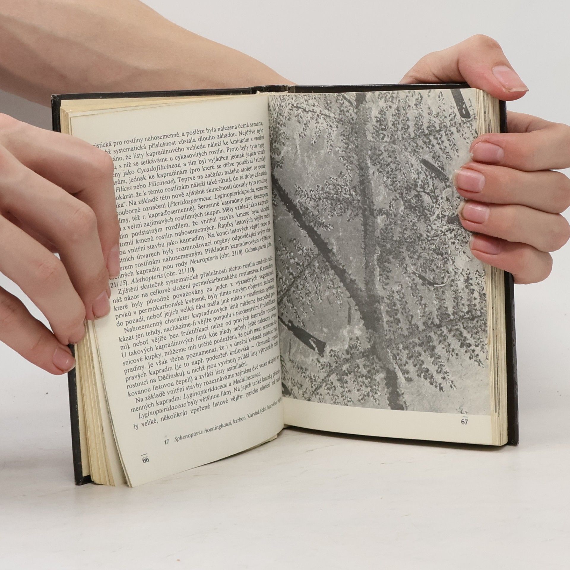 Vladimír Habětín Kapesní atlas zkamenělin
