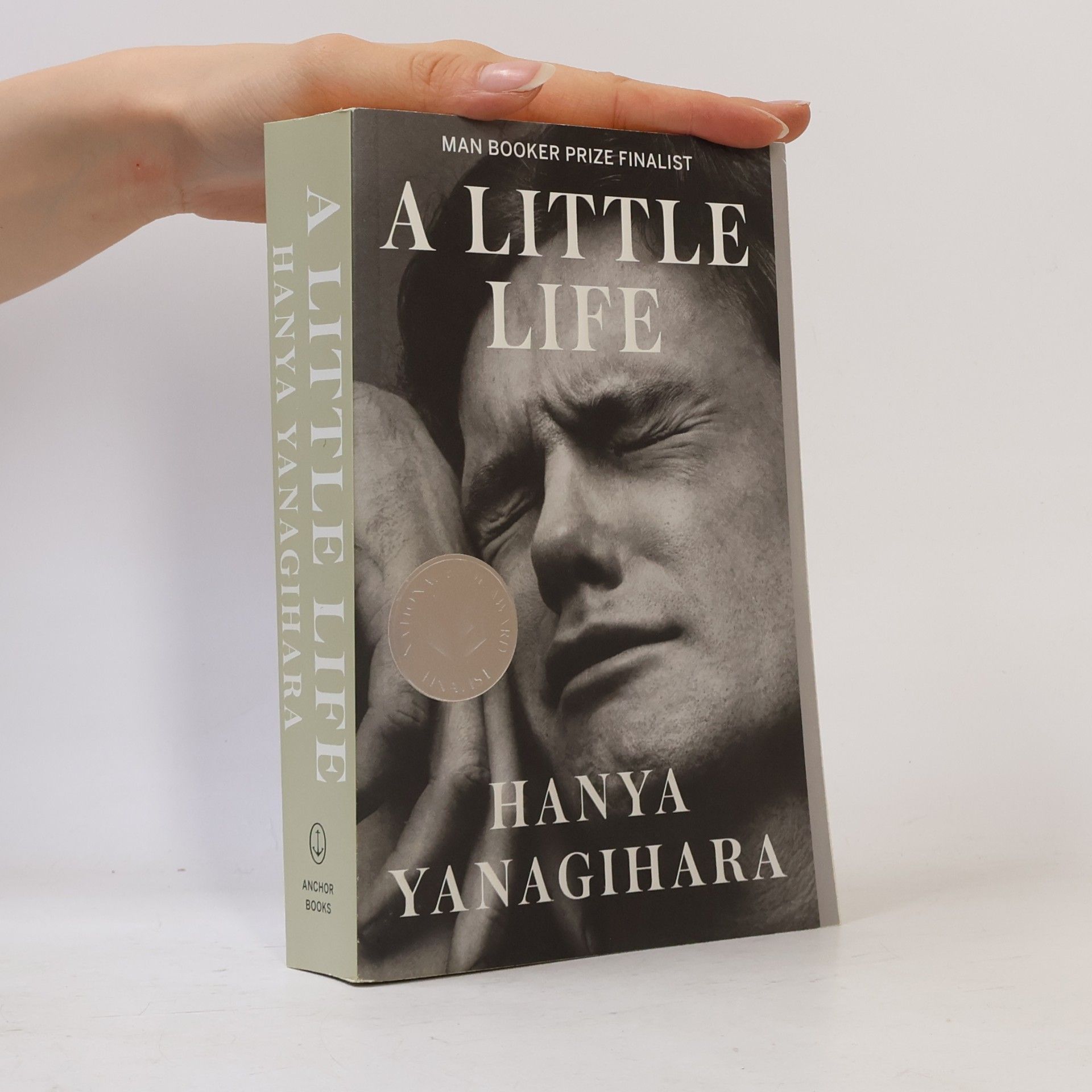 Hanya Yanagihara A Little Life