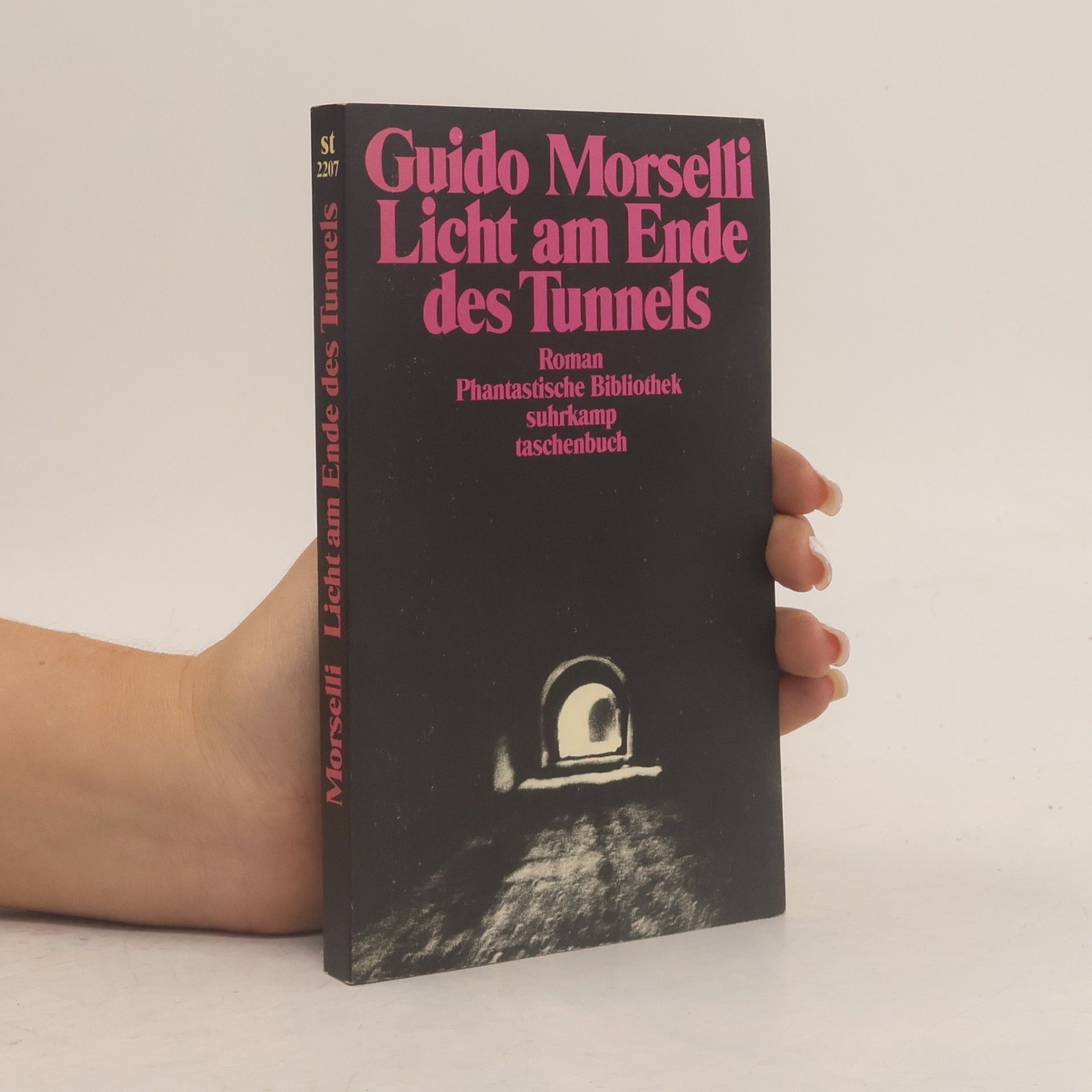 Guido Morselli Licht am Ende des Tunnels