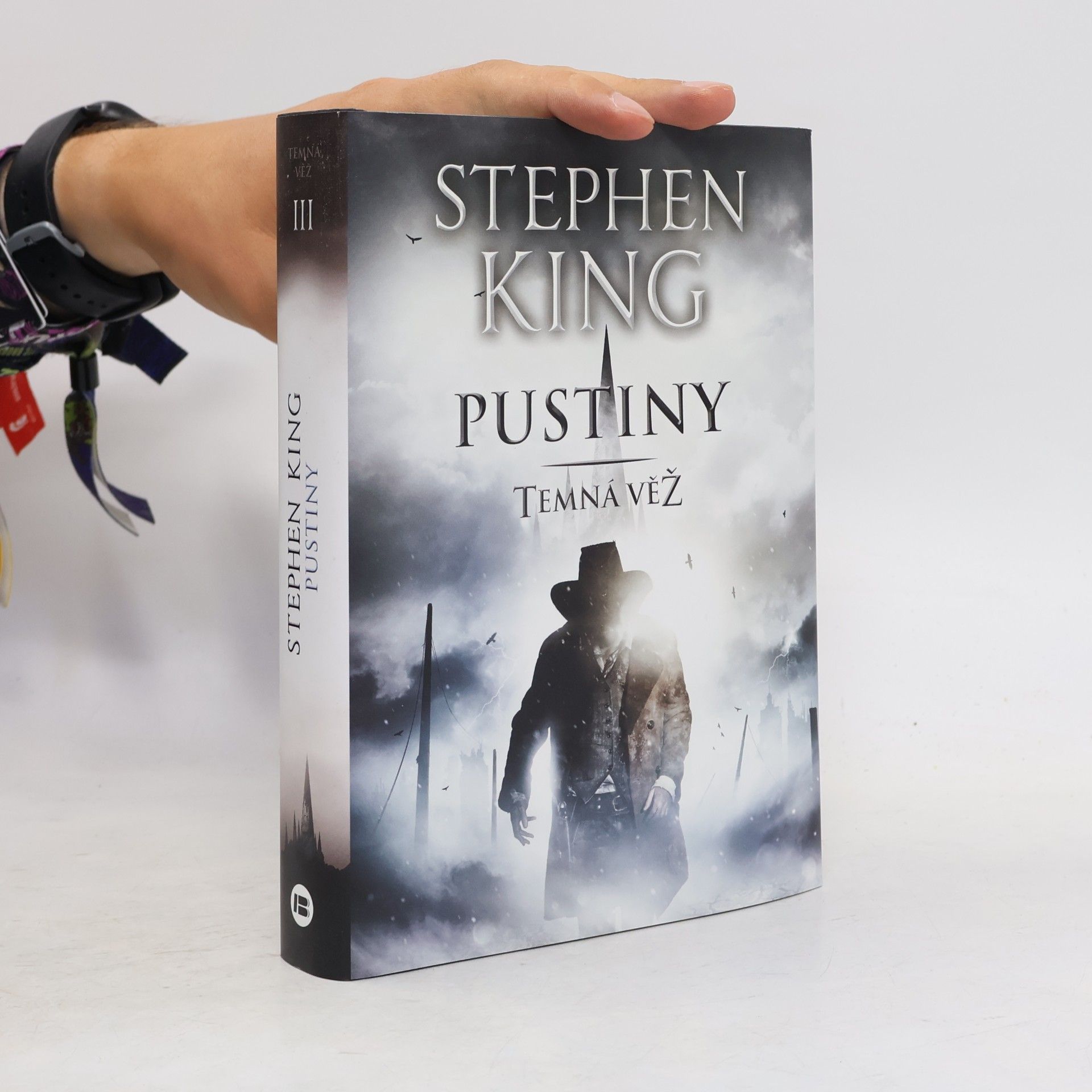 Temná věž: Pustiny