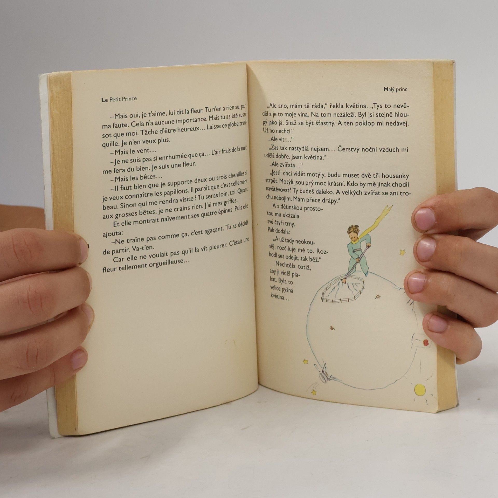 Antoine de Saint-Exupéry Le Petit Prince. Malý princ