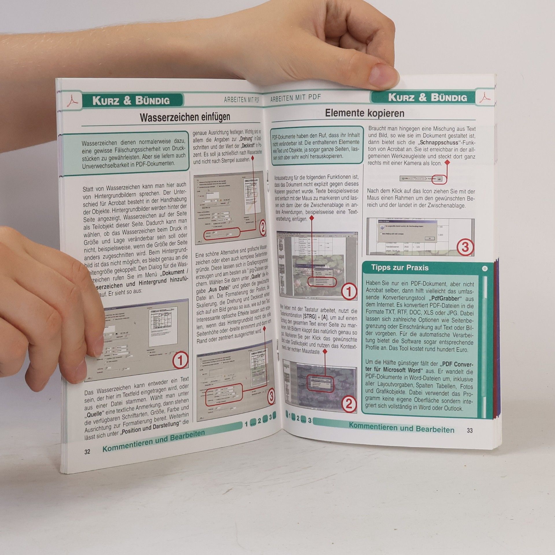 Autorenkollektiv Richtig arbeiten mit PDF-Daten