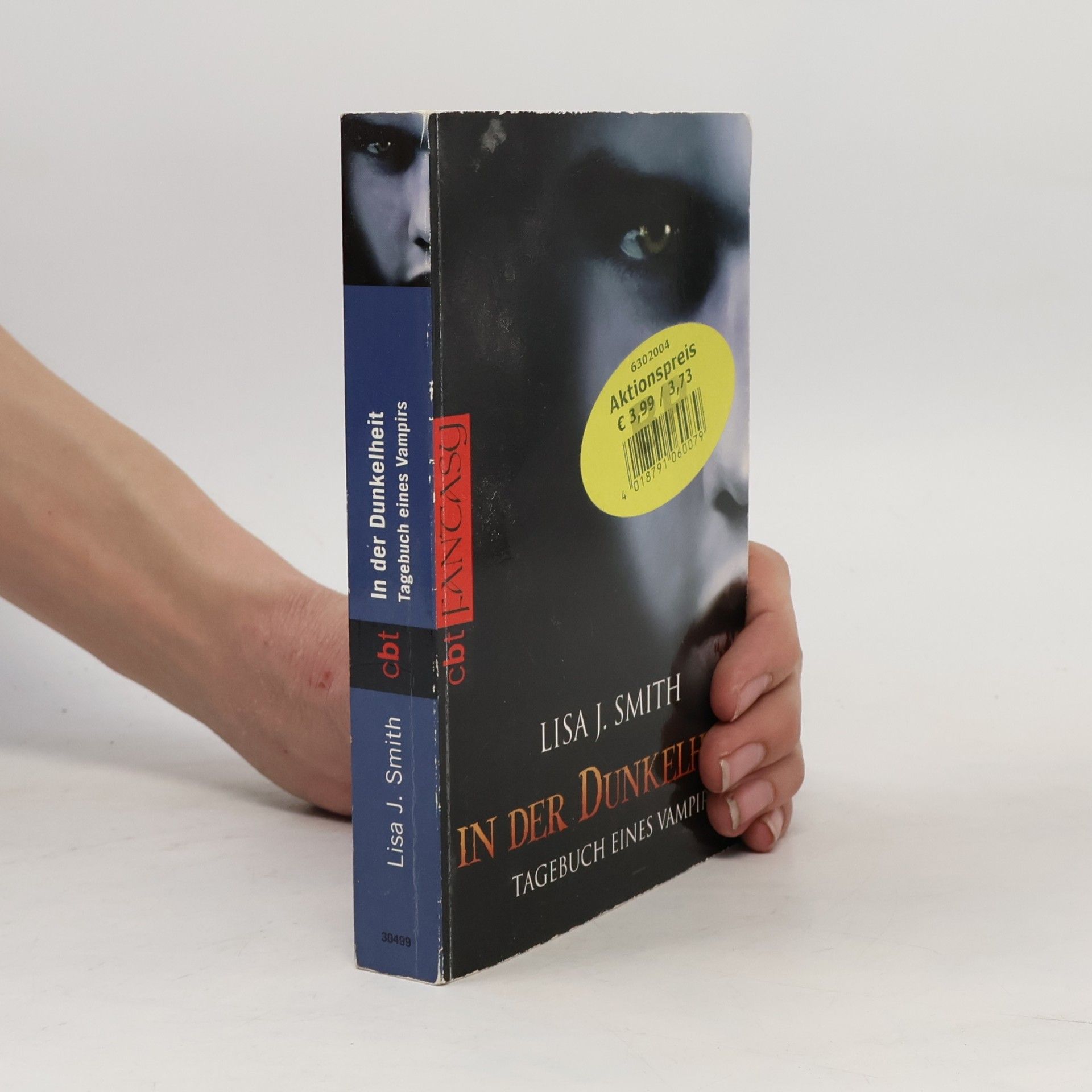 L. J. Smithová  In der Dunkelheit
