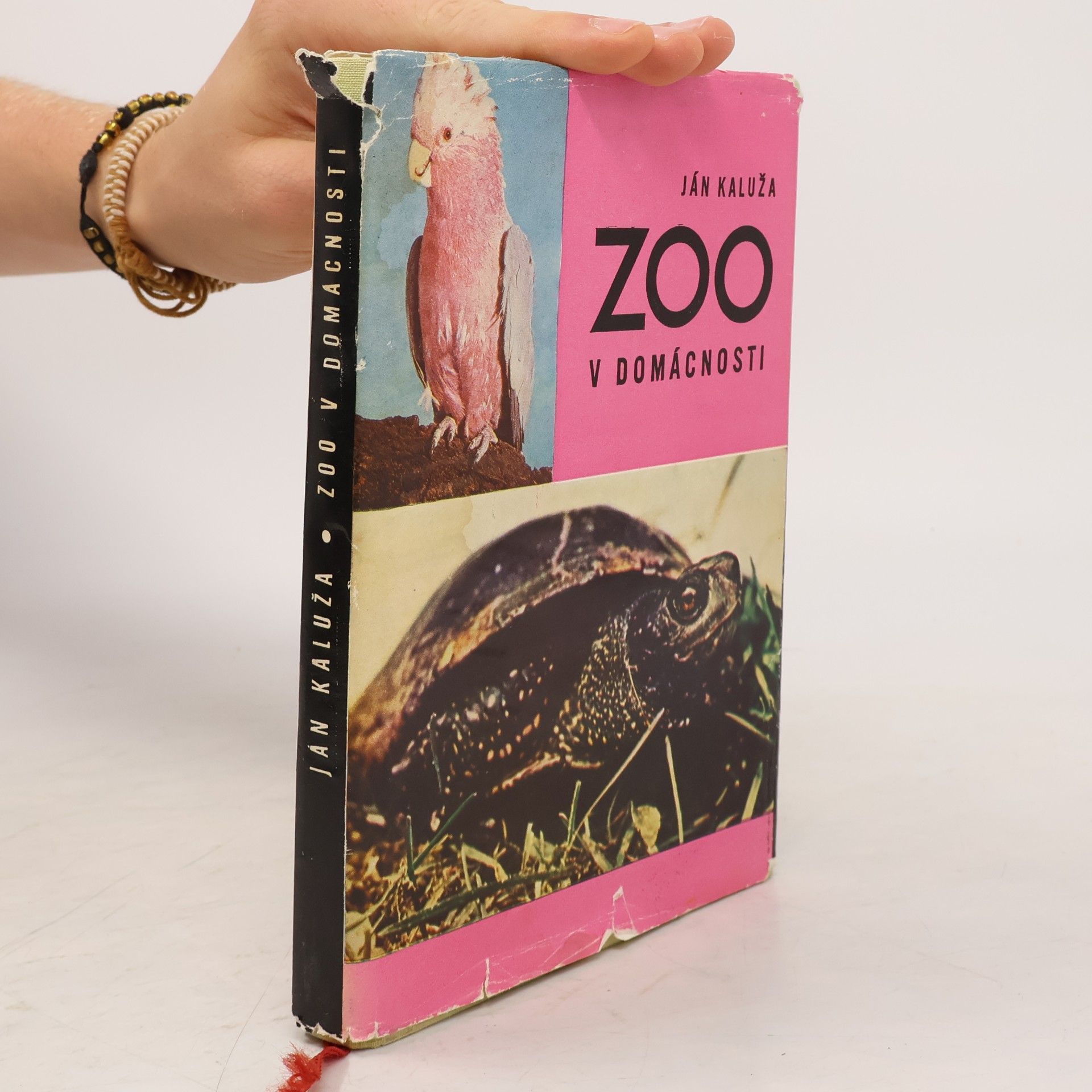 Ján Kaluža Zoo v domácnosti