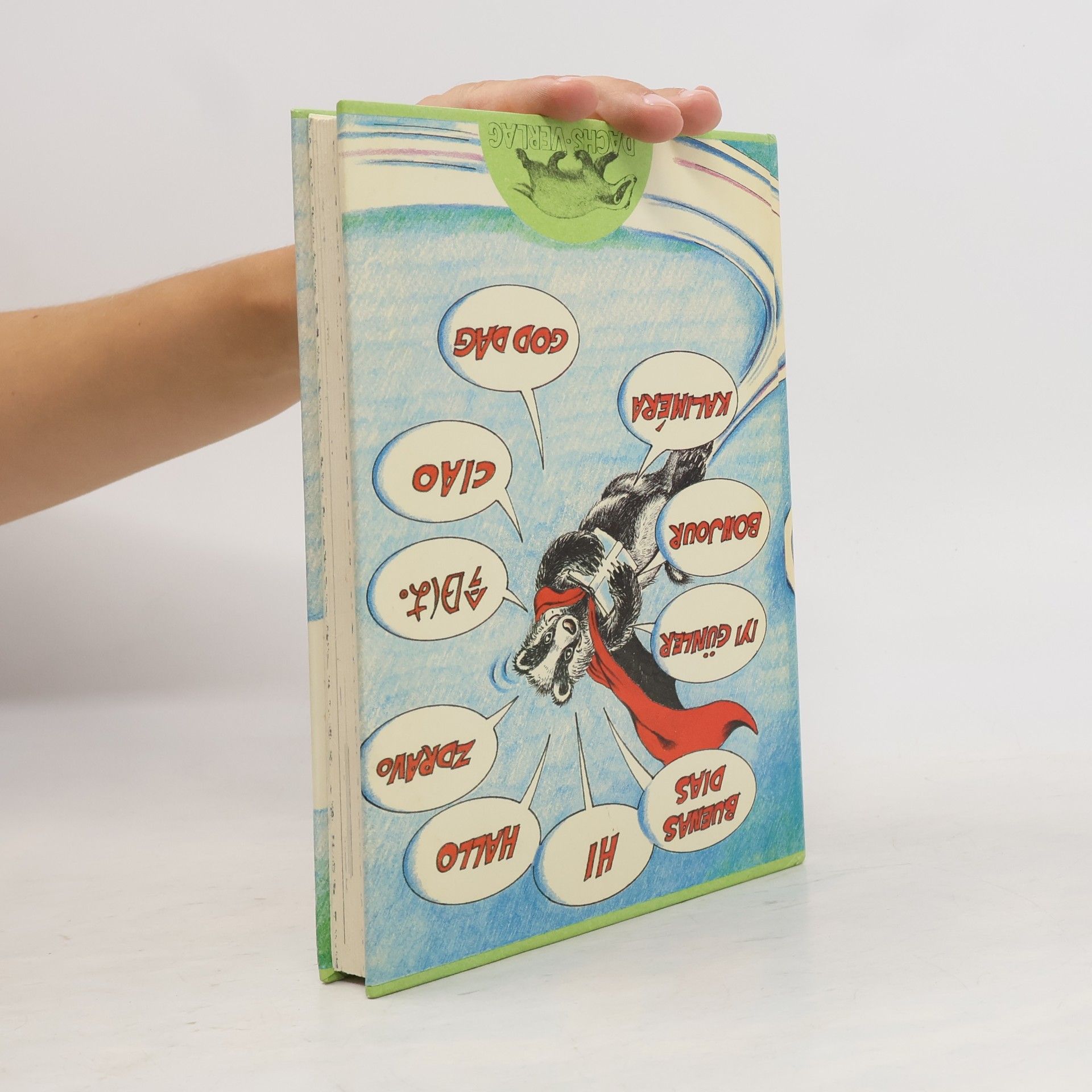 Autorenkollektiv Das Sommer super Ferien dachs Buch