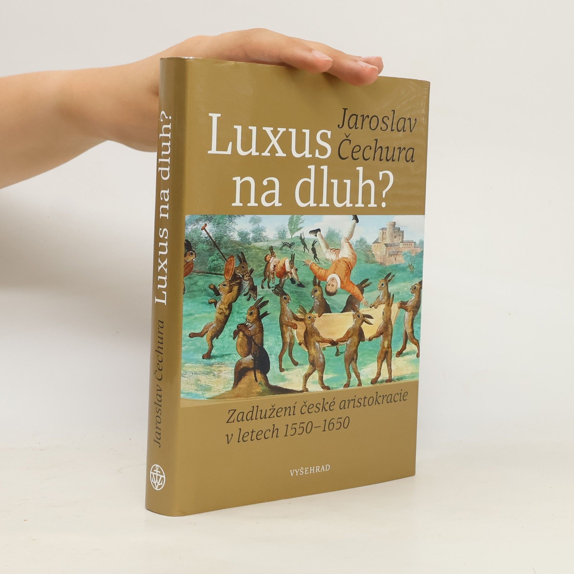 Luxus na dluh?