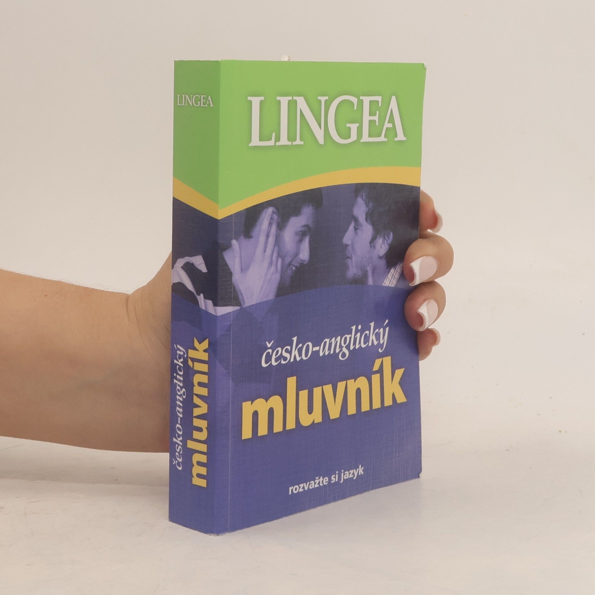 Kolektiv autorů Česko-anglický mluvník