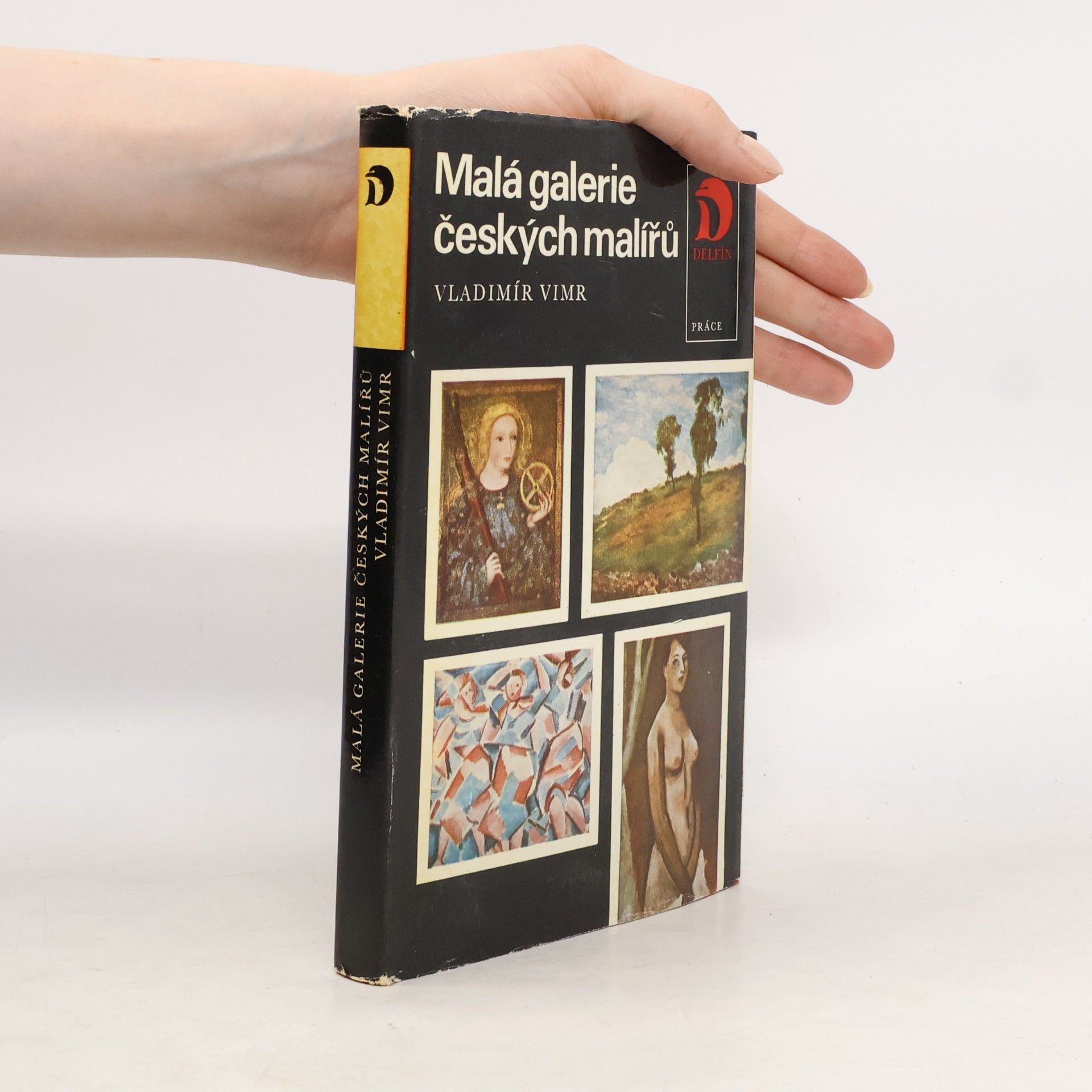 Vladimír Vimr Malá galerie českých malířů