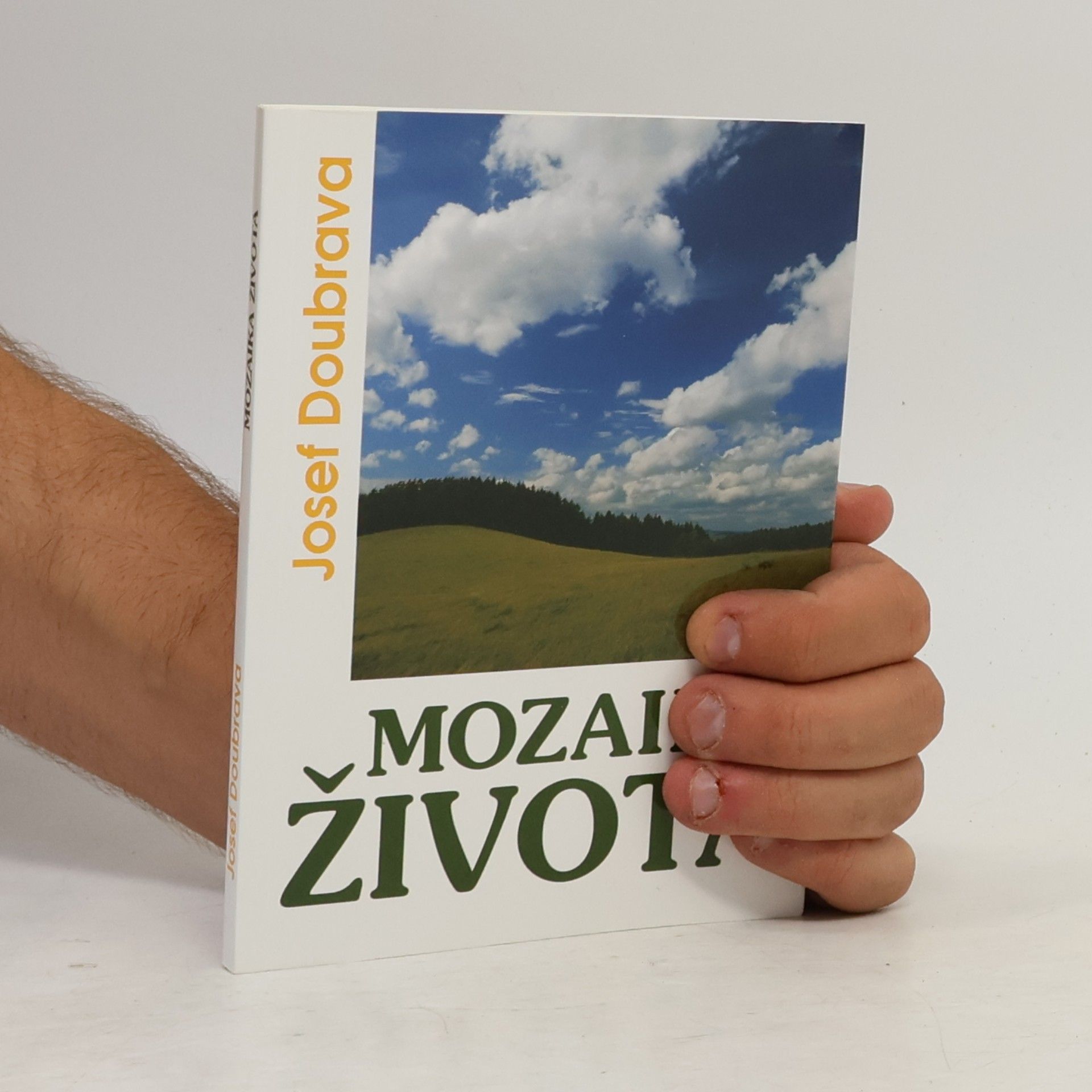 Dominik Josef Doubrava Mozaika života