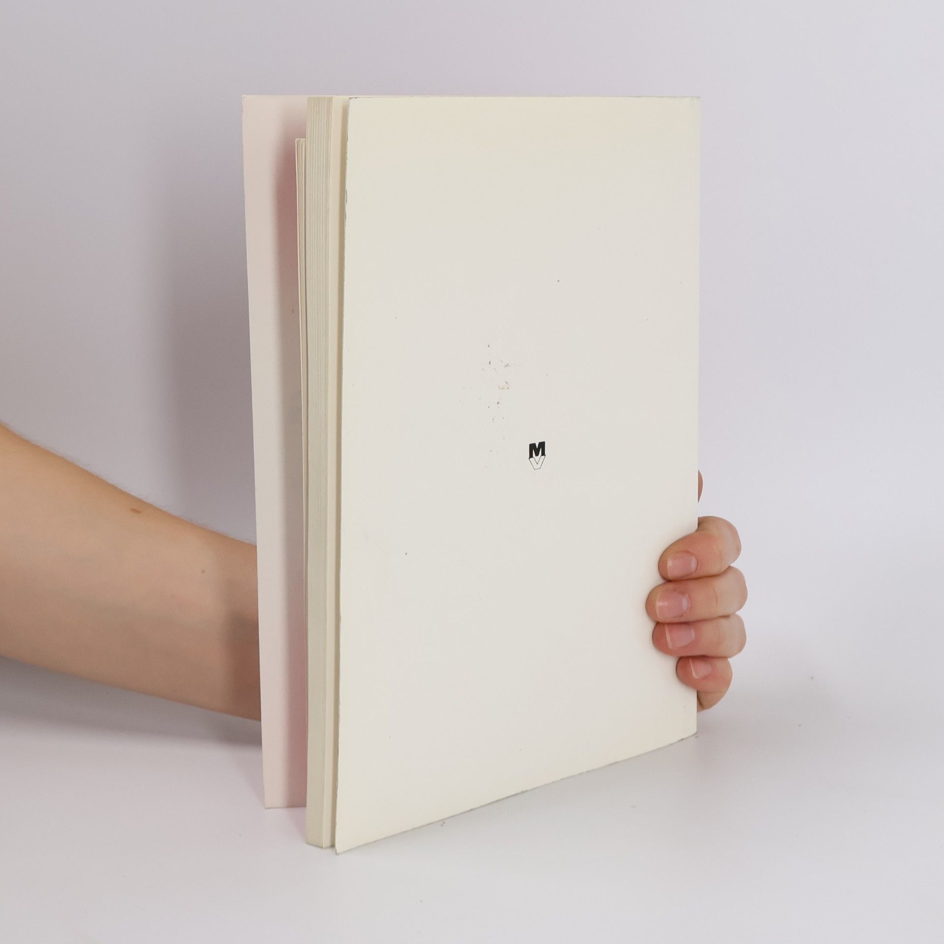 Kolektív autorov Buchführung und Bilanzierung 1