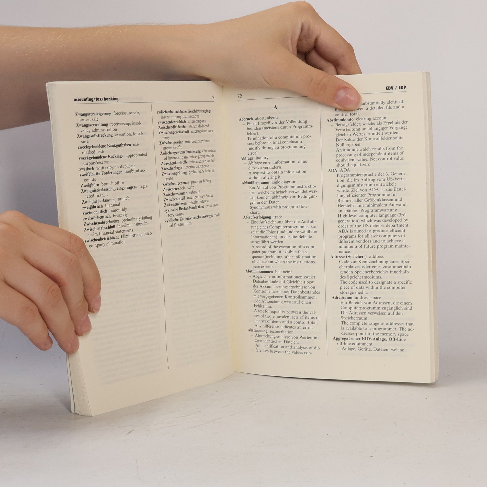 Fachwörterbuch Rechnungslegung, Steuern, Bankwesen, EDV