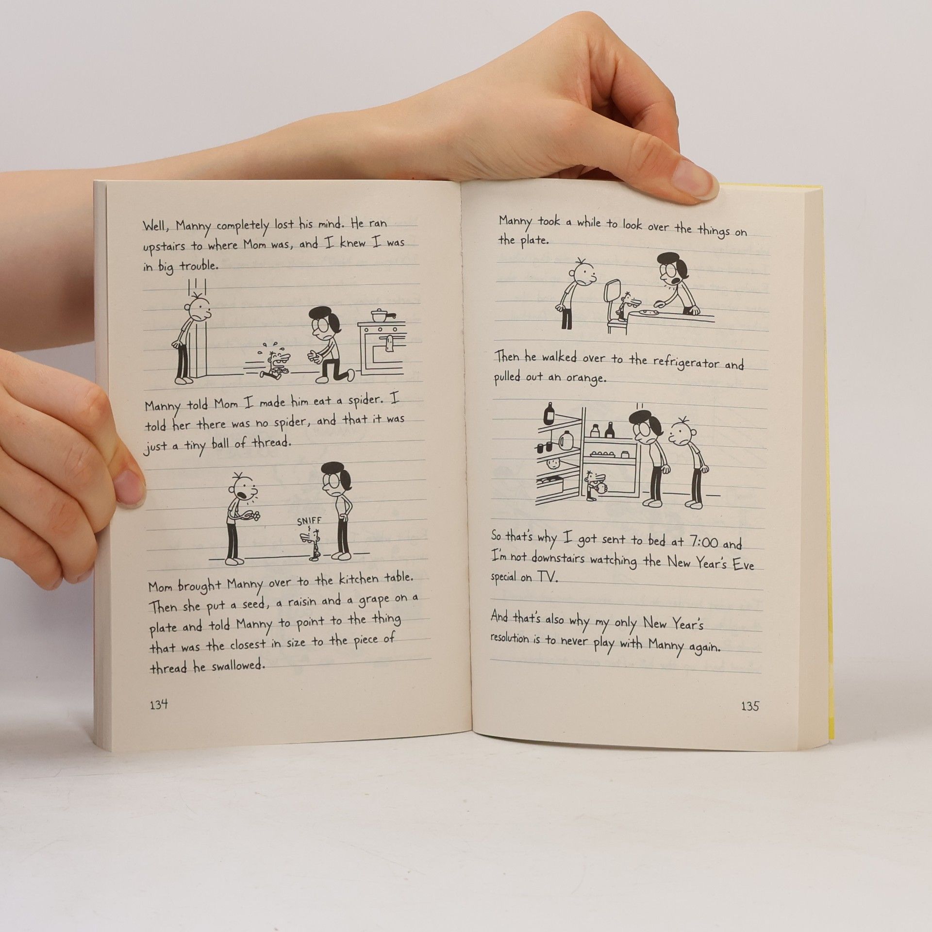 Jeff Kinney Diary of a Wimpy Kid 1