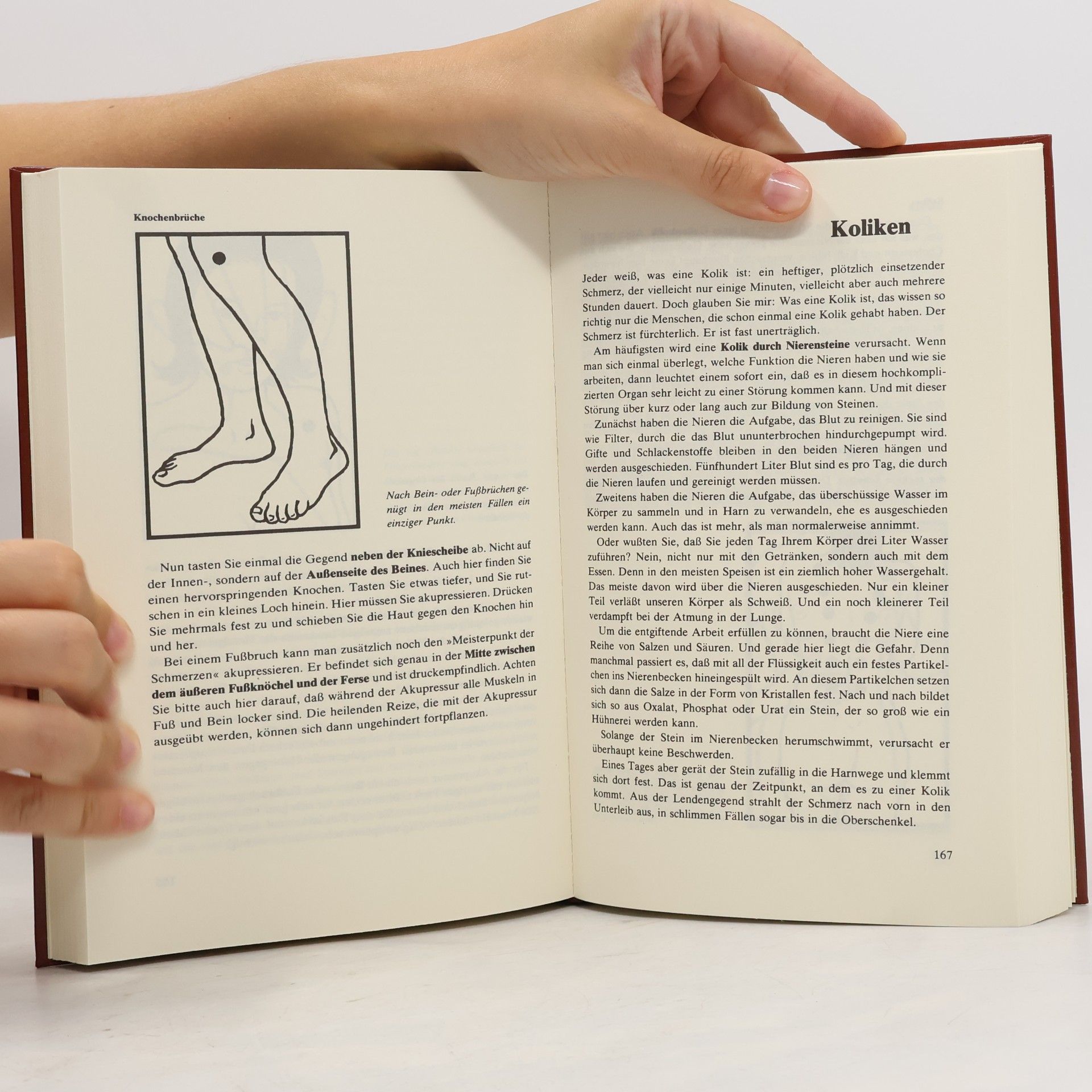 Lutz Bernau Das Grosse Akupressur Buch