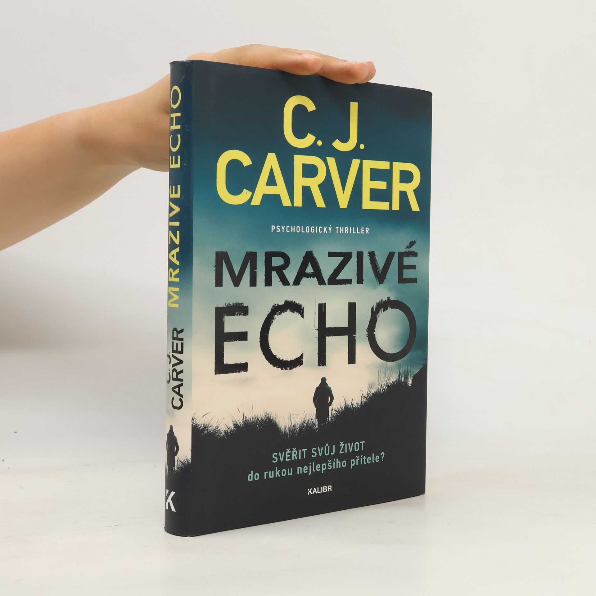 Mrazivé echo