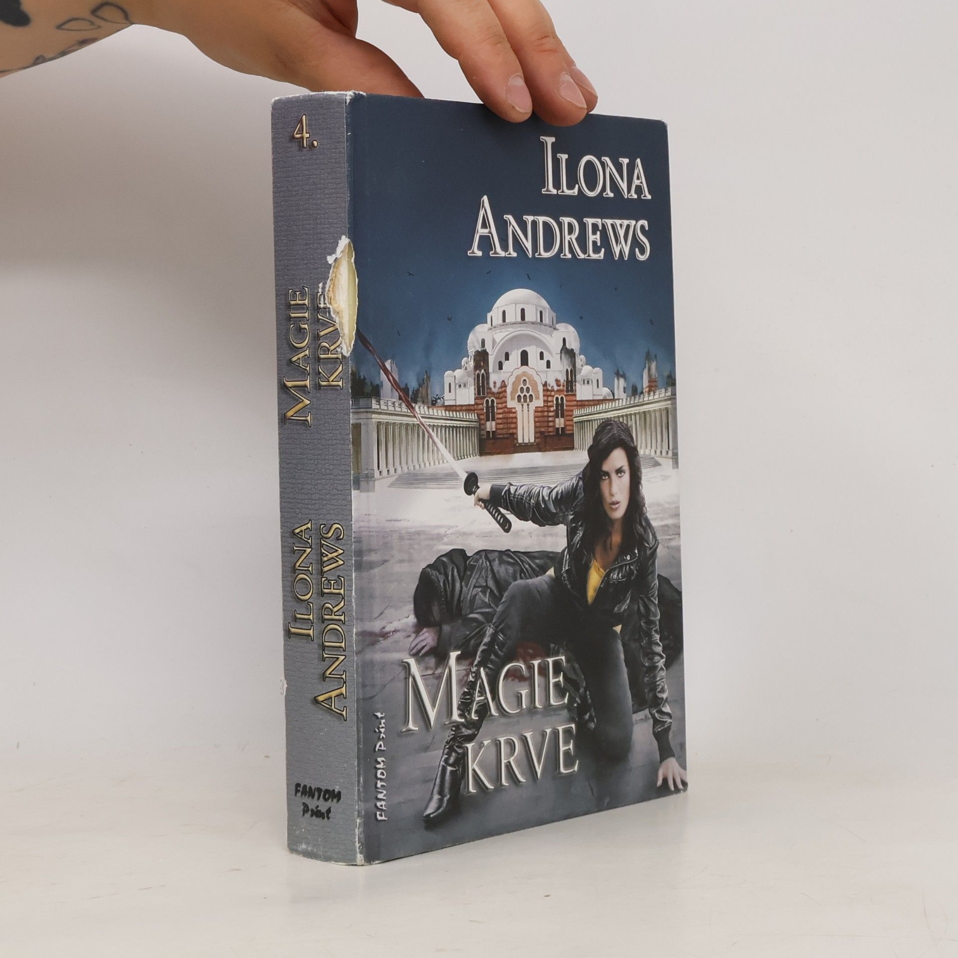 Ilona Andrews Magie krve