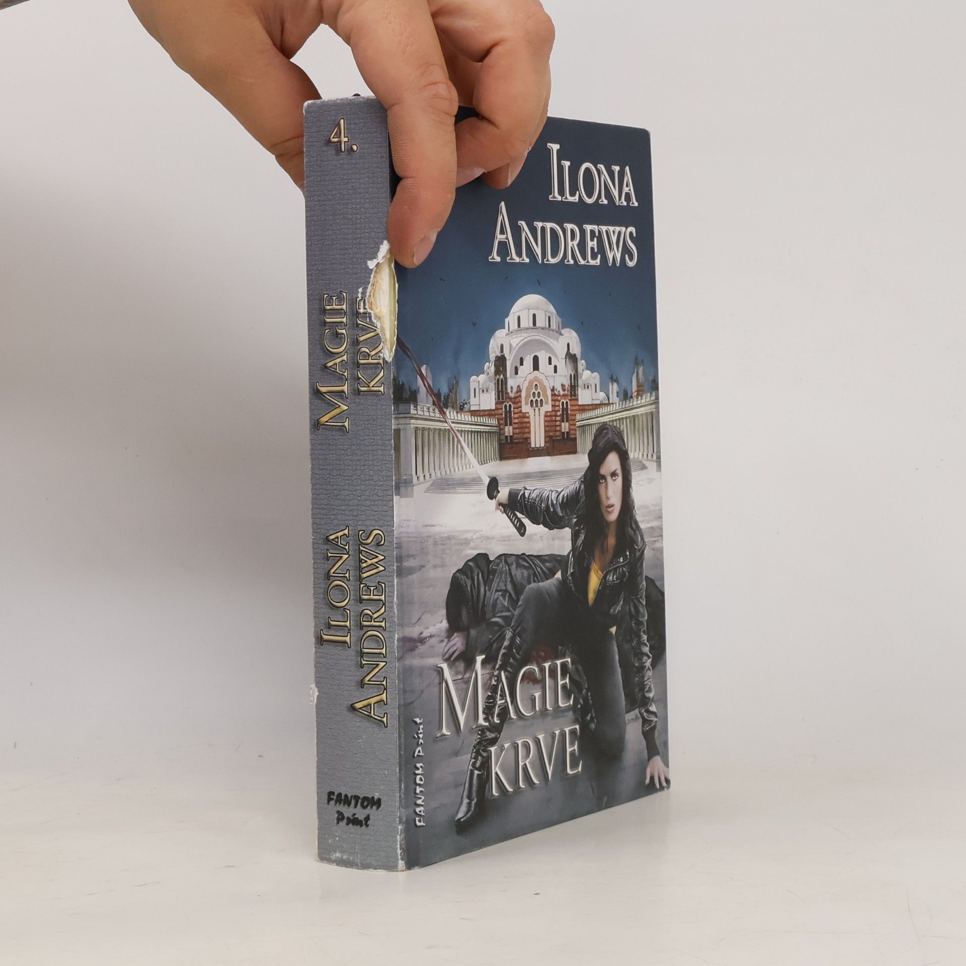 Ilona Andrews Magie krve