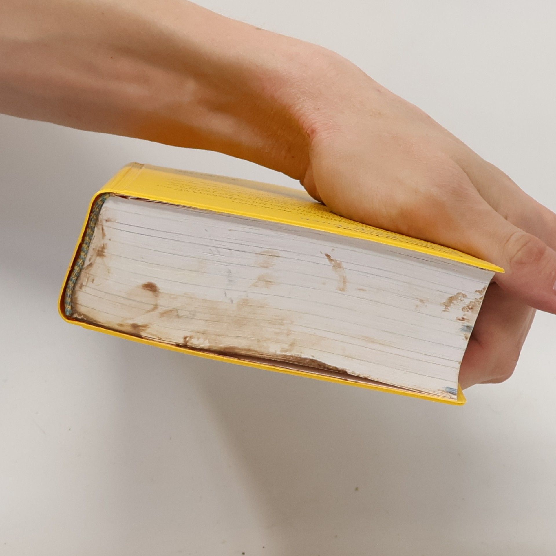 Barbara Epple Langenscheidt, Power-Wörterbuch Französisch
