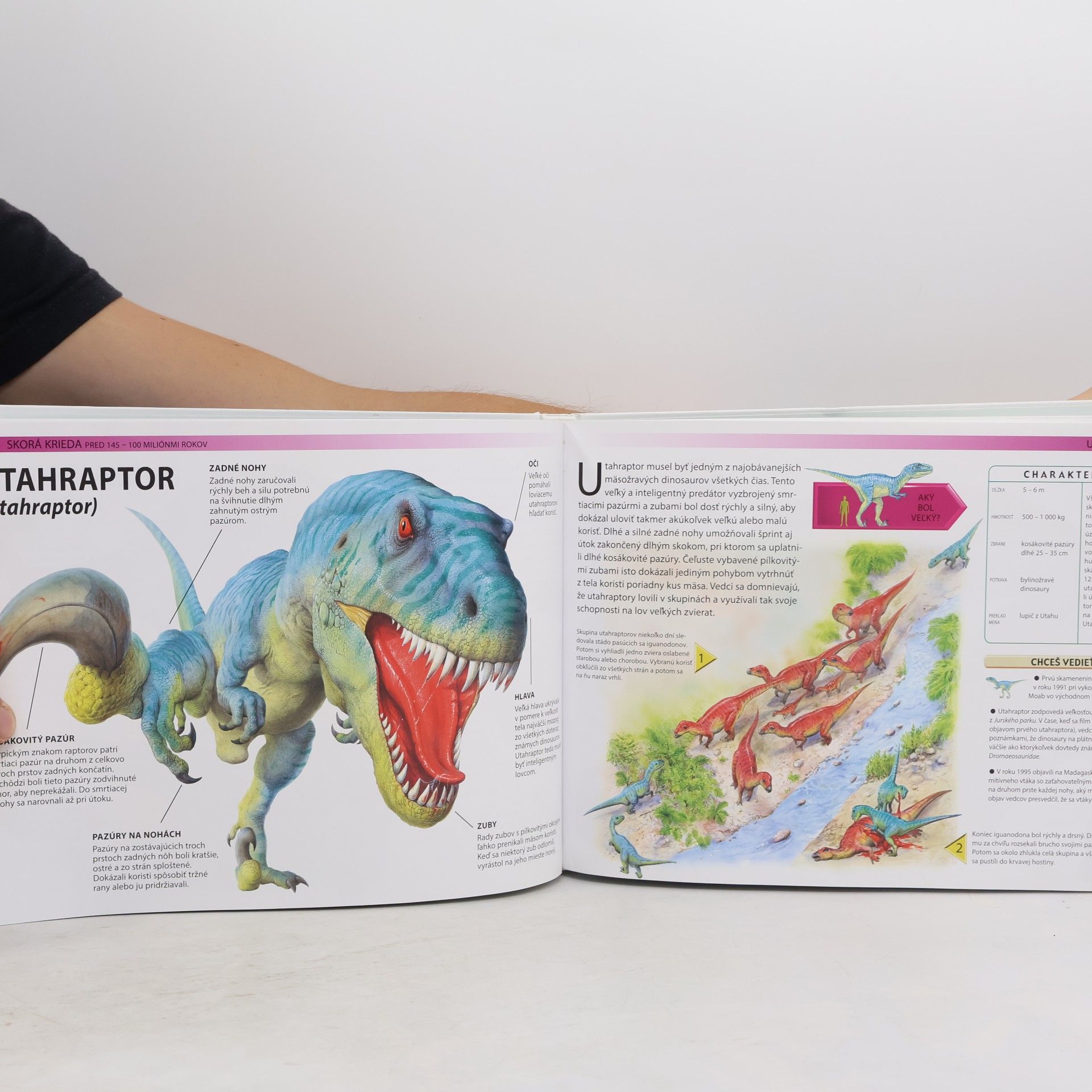 Veronica Ross Dinosaury. Fascinujúci svet pravekých obrov