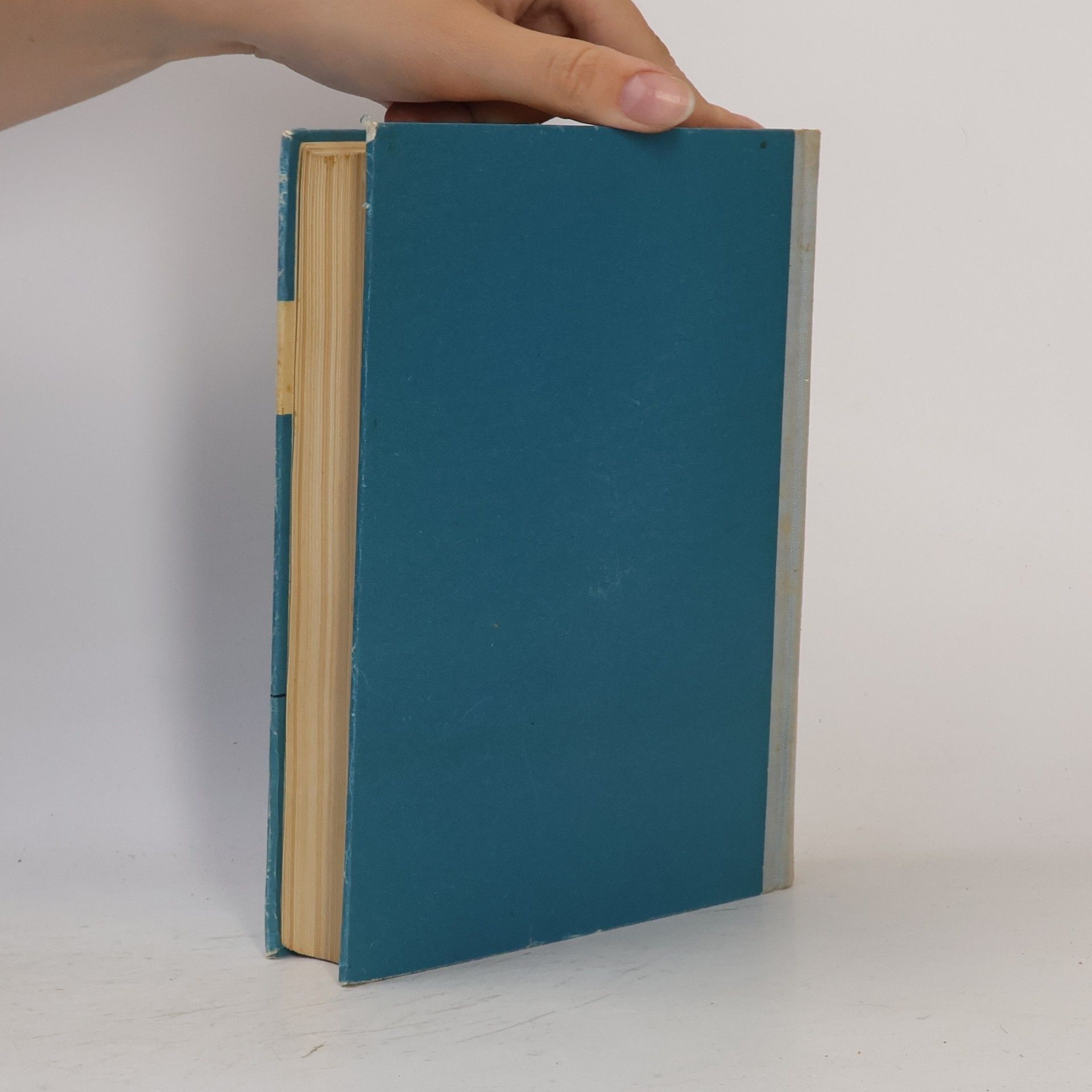 Lucienne Félix Elementarmathematik in moderner Darstellung