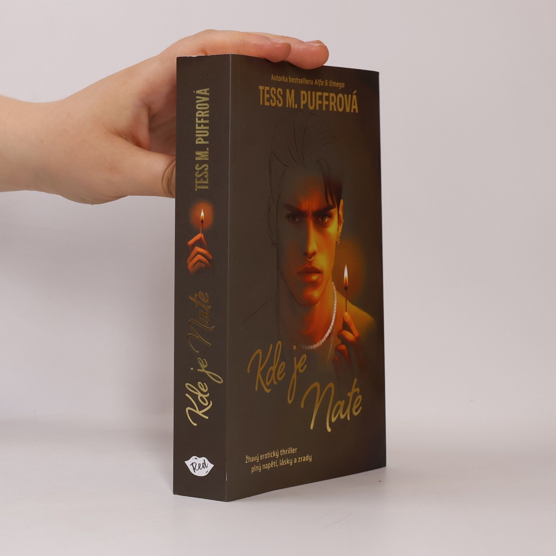 Tess M. Puffrová Kde je Nate