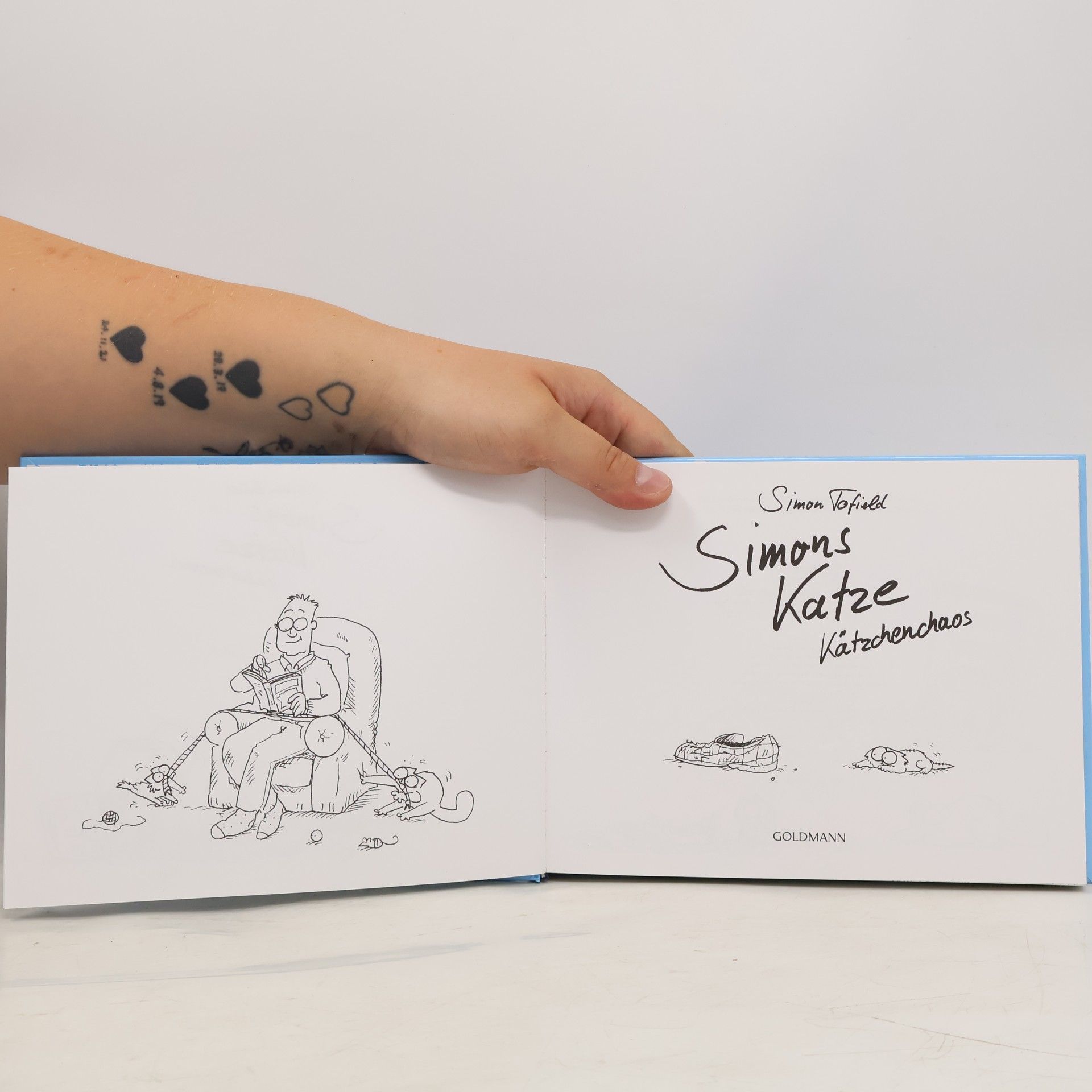 Simon Tofield Simons Katze. Kätzchenchaos