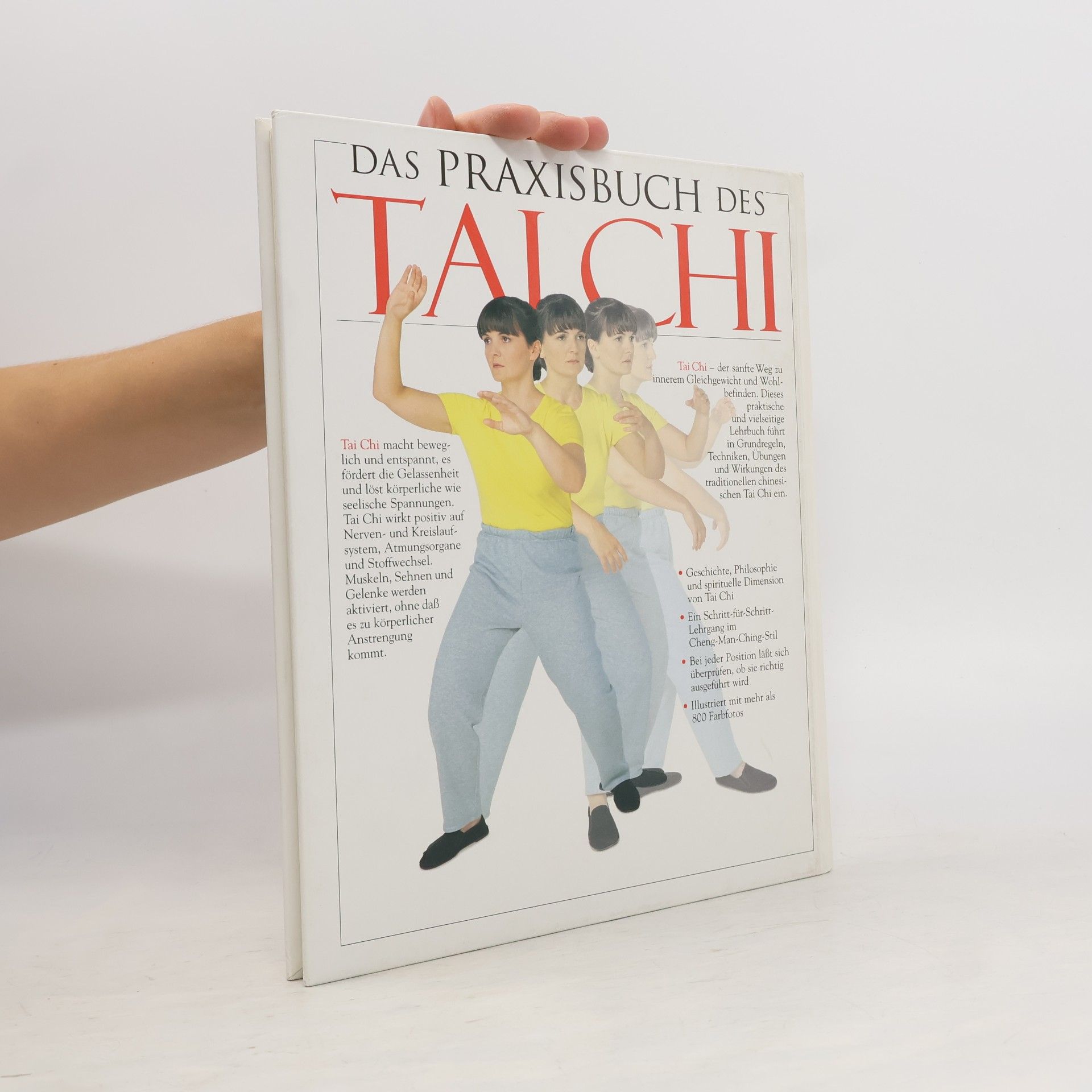 Stewart McFarlane Das Praxisbuch des Tai Chi