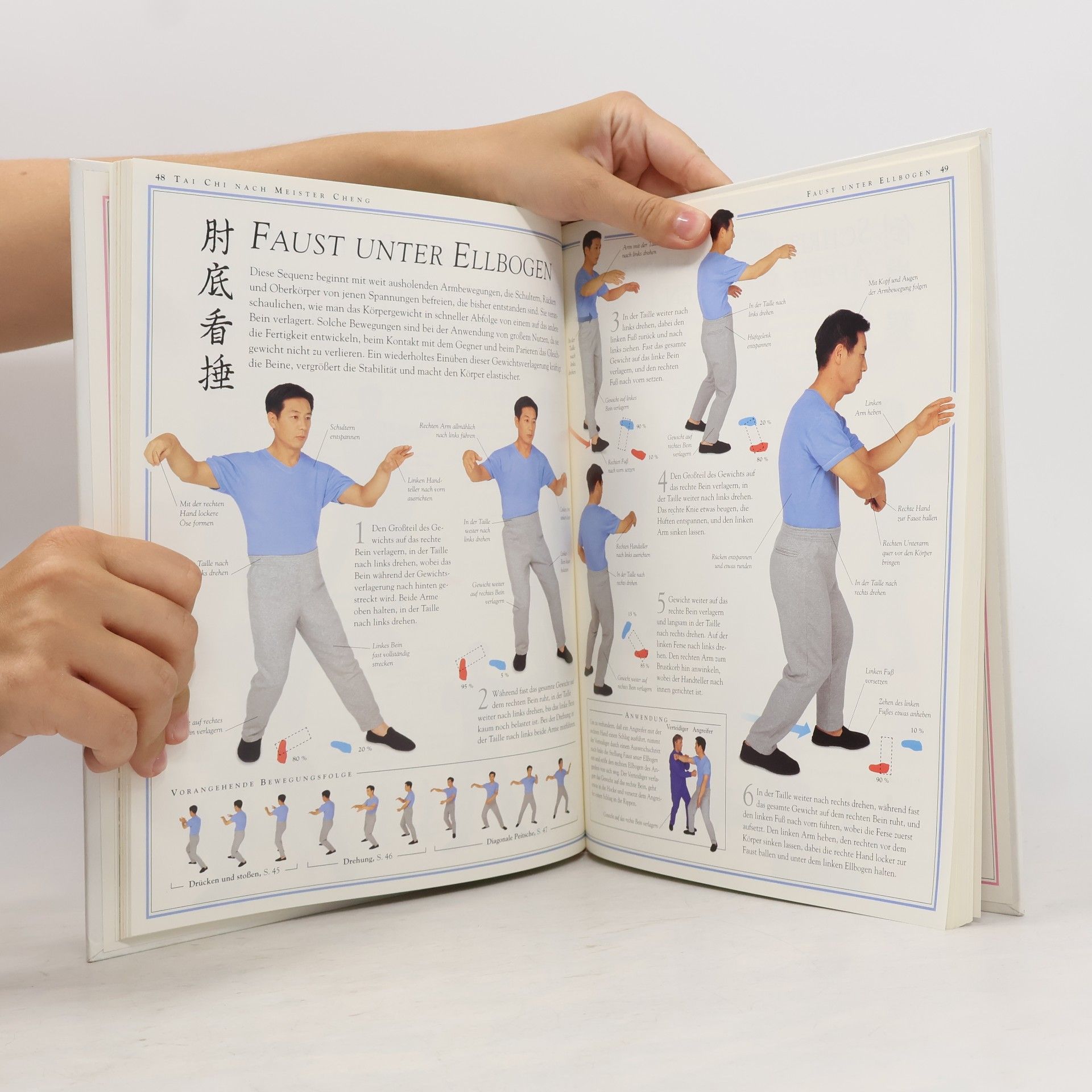 Stewart McFarlane Das Praxisbuch des Tai Chi