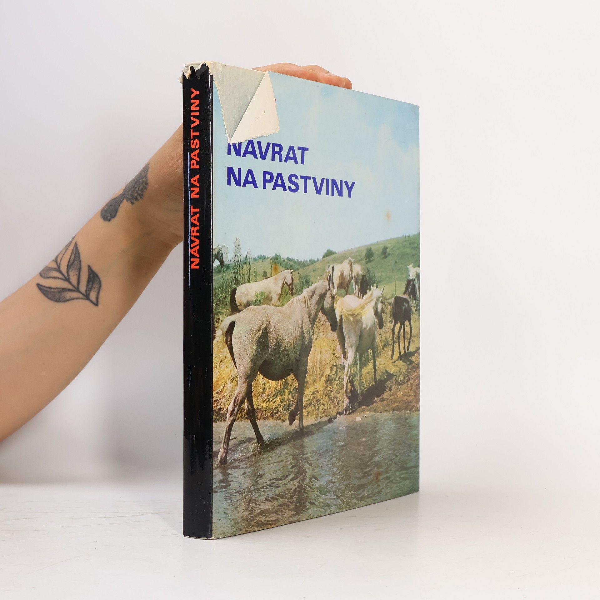 Harald Lange Návrat na pastviny