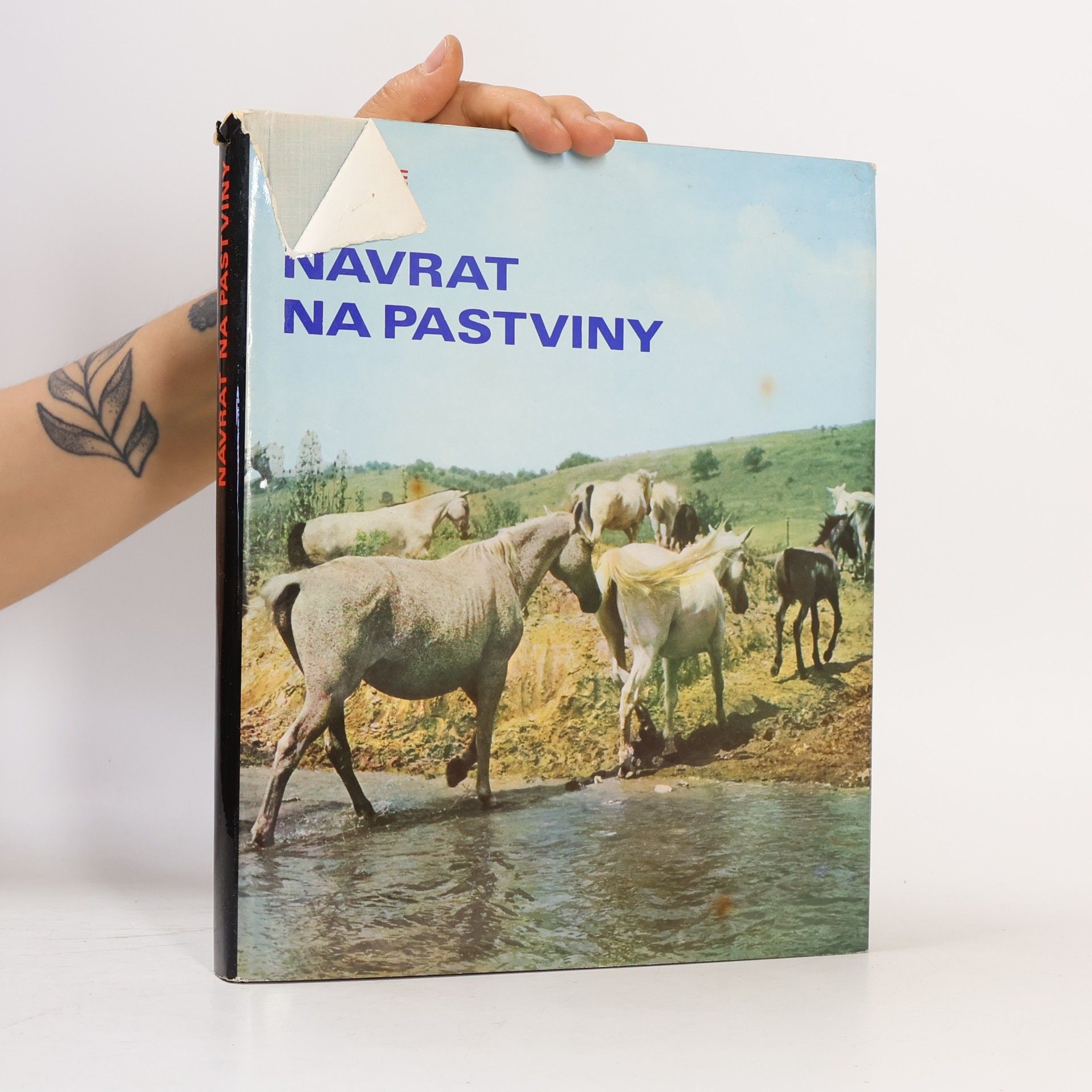 Harald Lange Návrat na pastviny