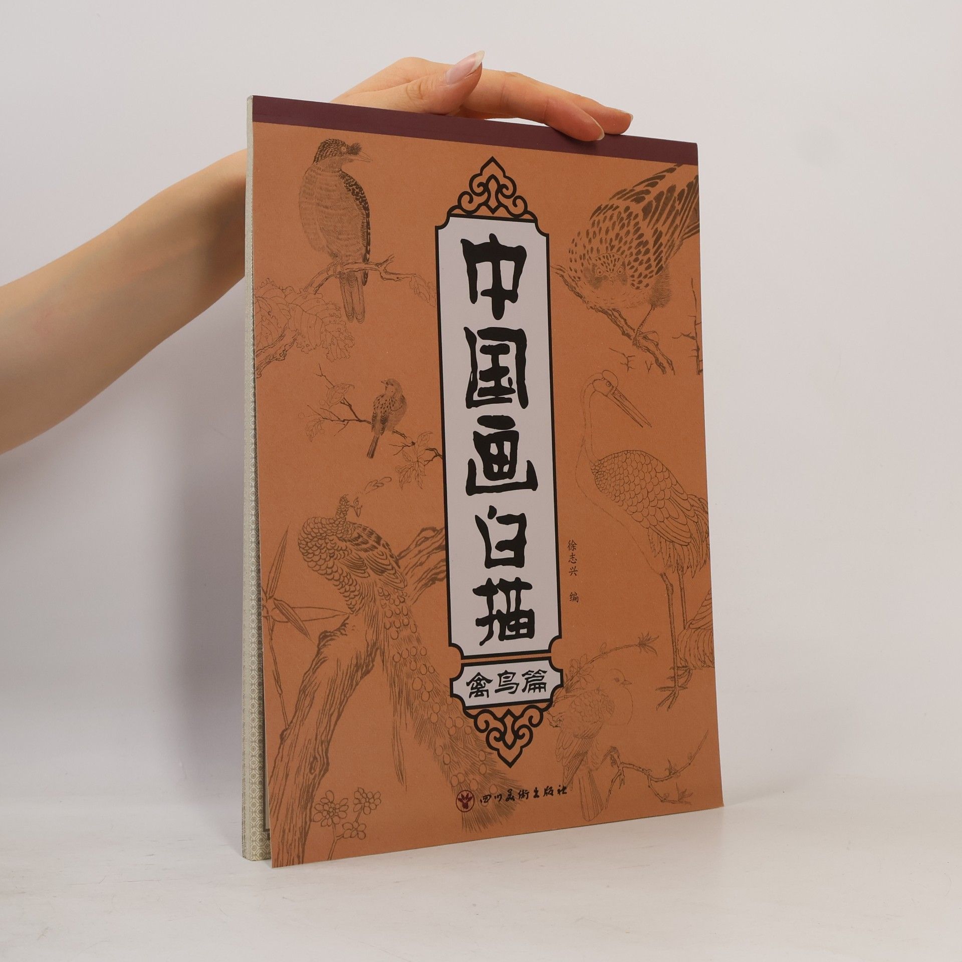 徐志兴 中国画白描