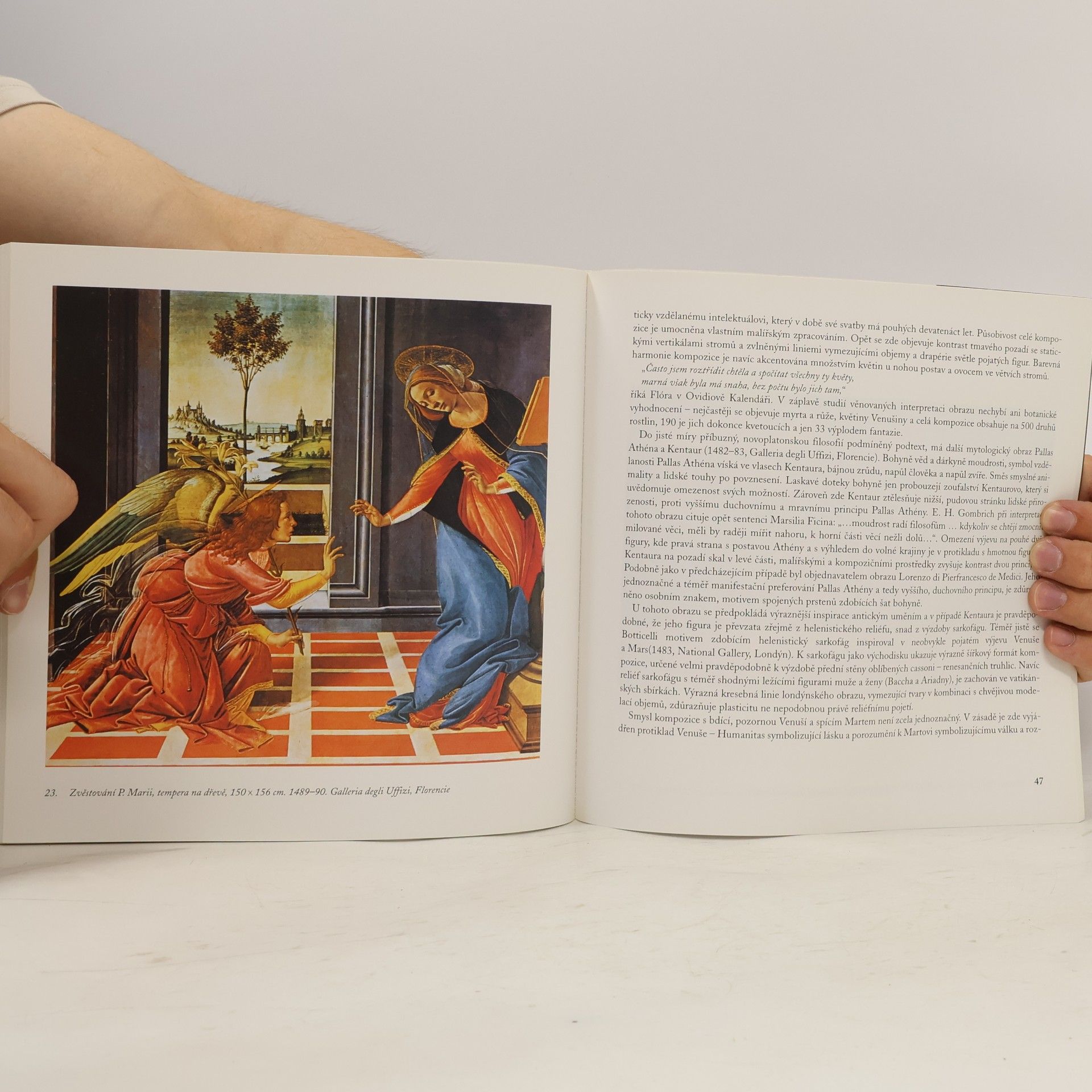 Milan Togner Sandro Botticelli