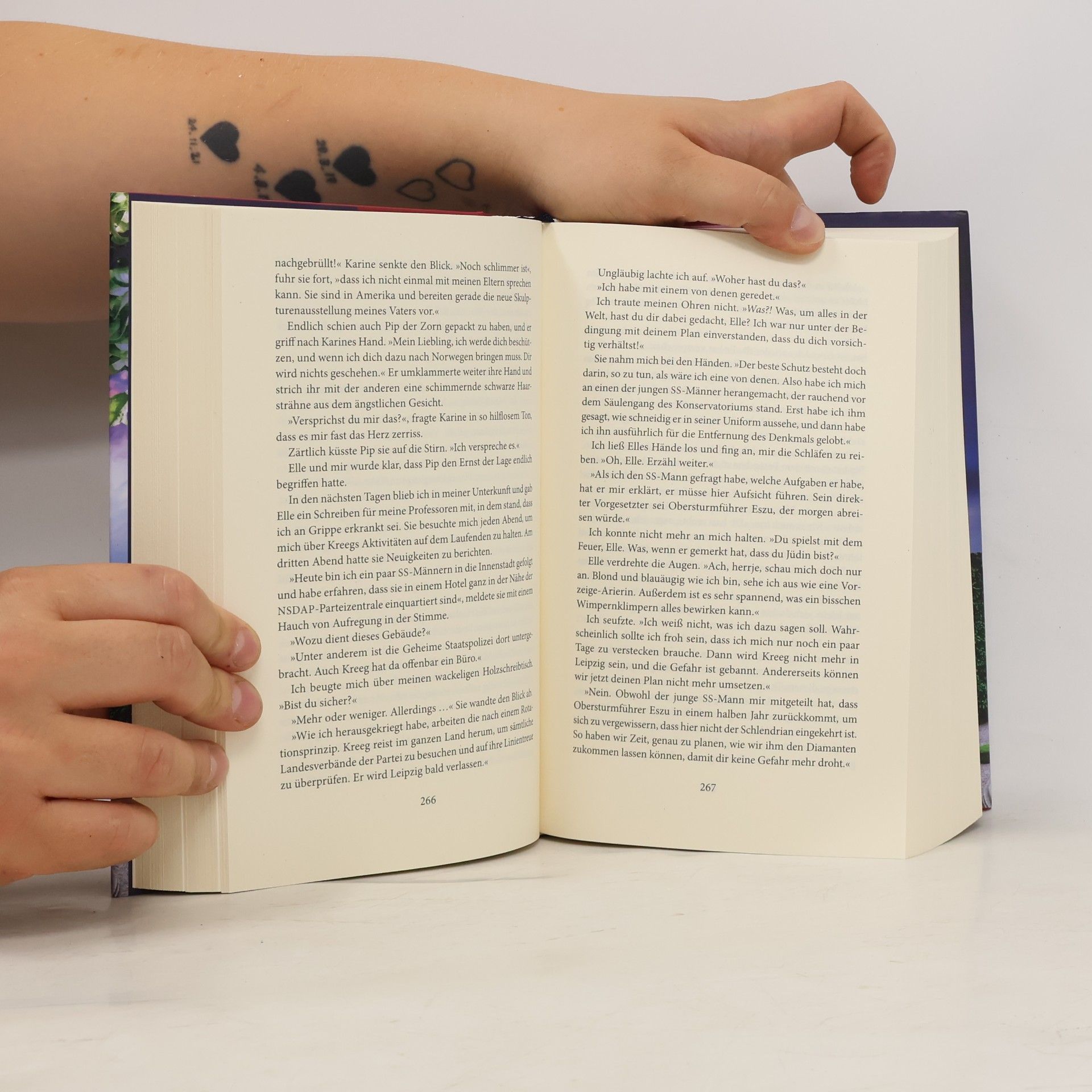 Lucinda Riley Atlas. Die Geschichte von Pa Salt