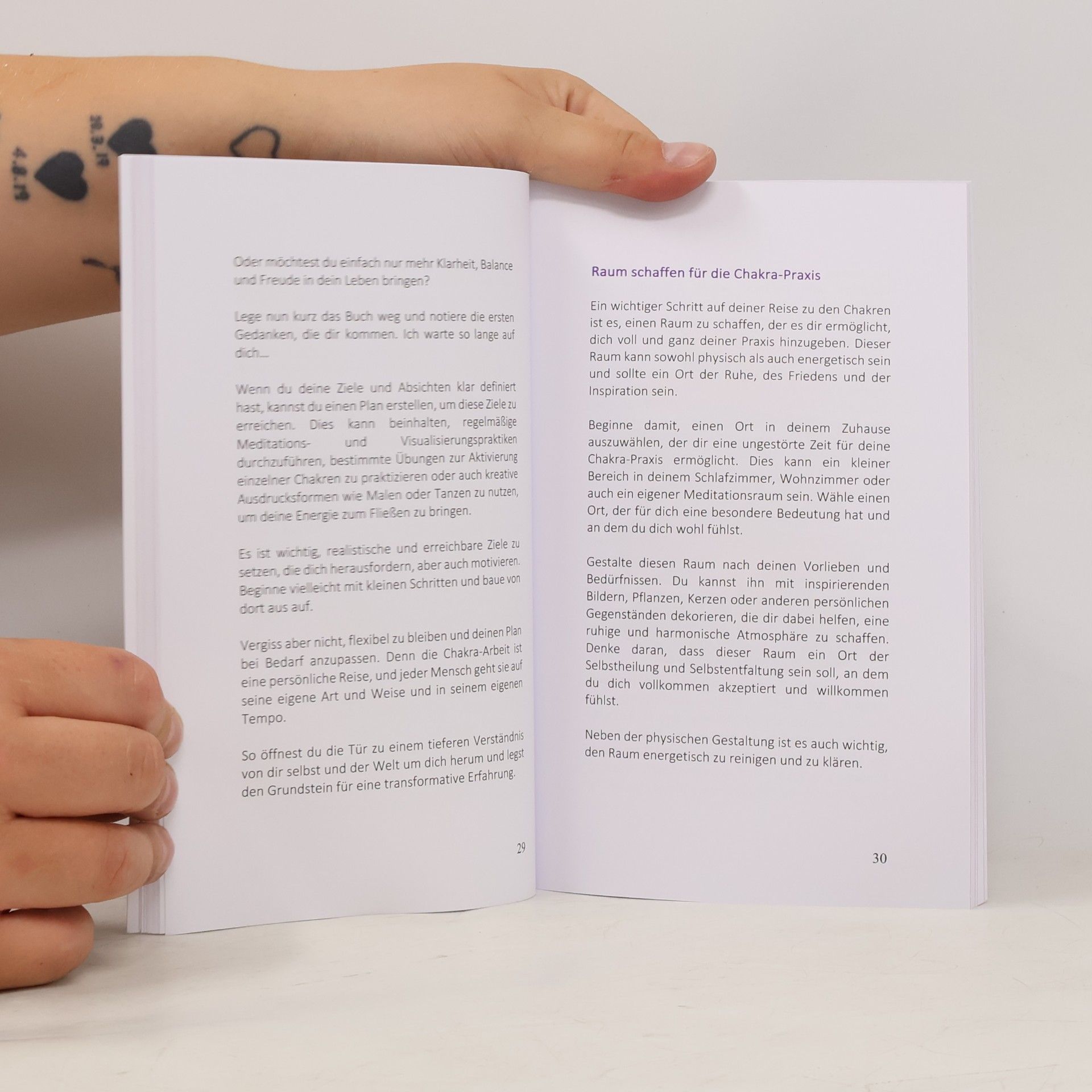 Asch-Gruber, Sonja Chakrenkick: Praxisbuch für Chakreneinsteiger