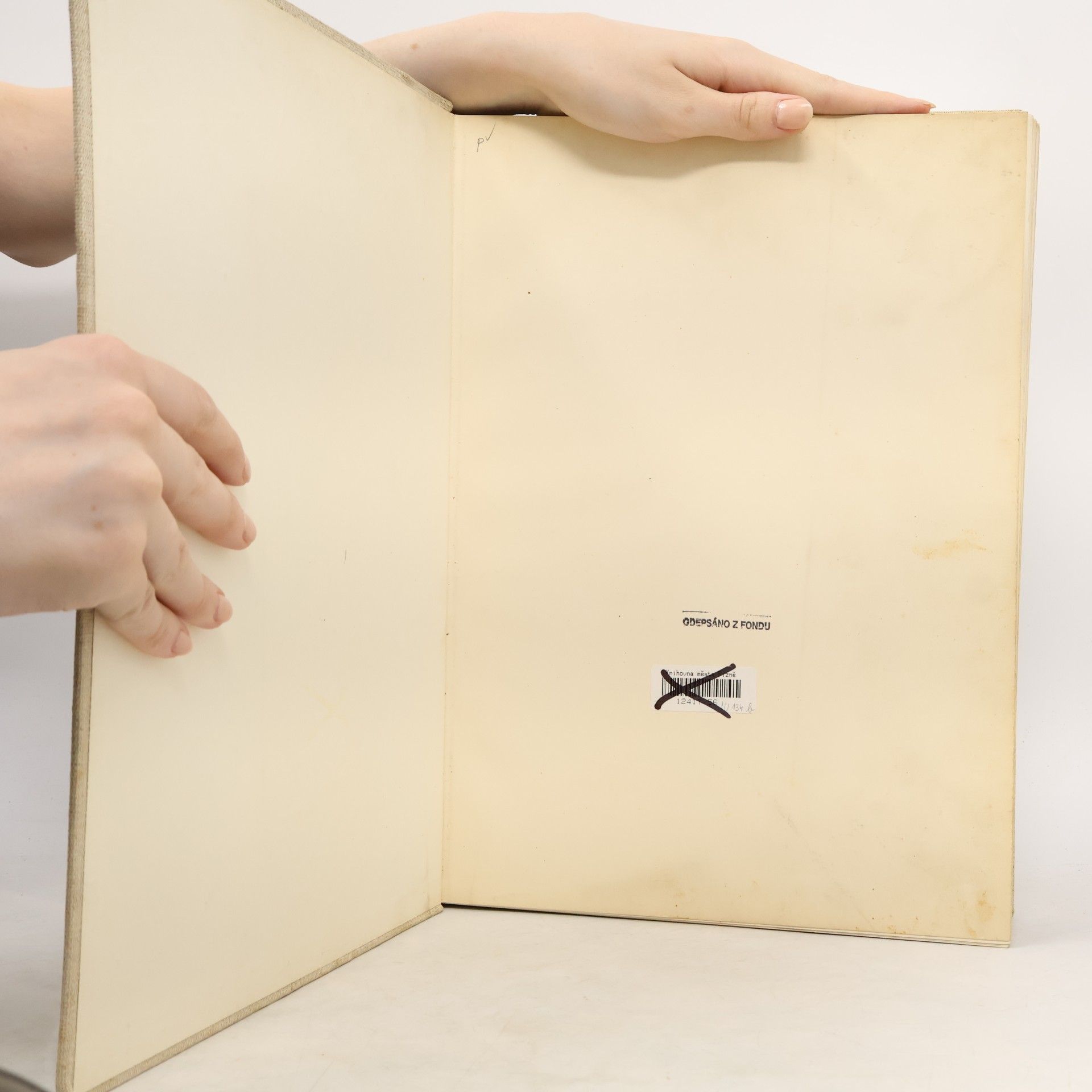 AA.VV. Ruské malířství XVIII. a XIX. století