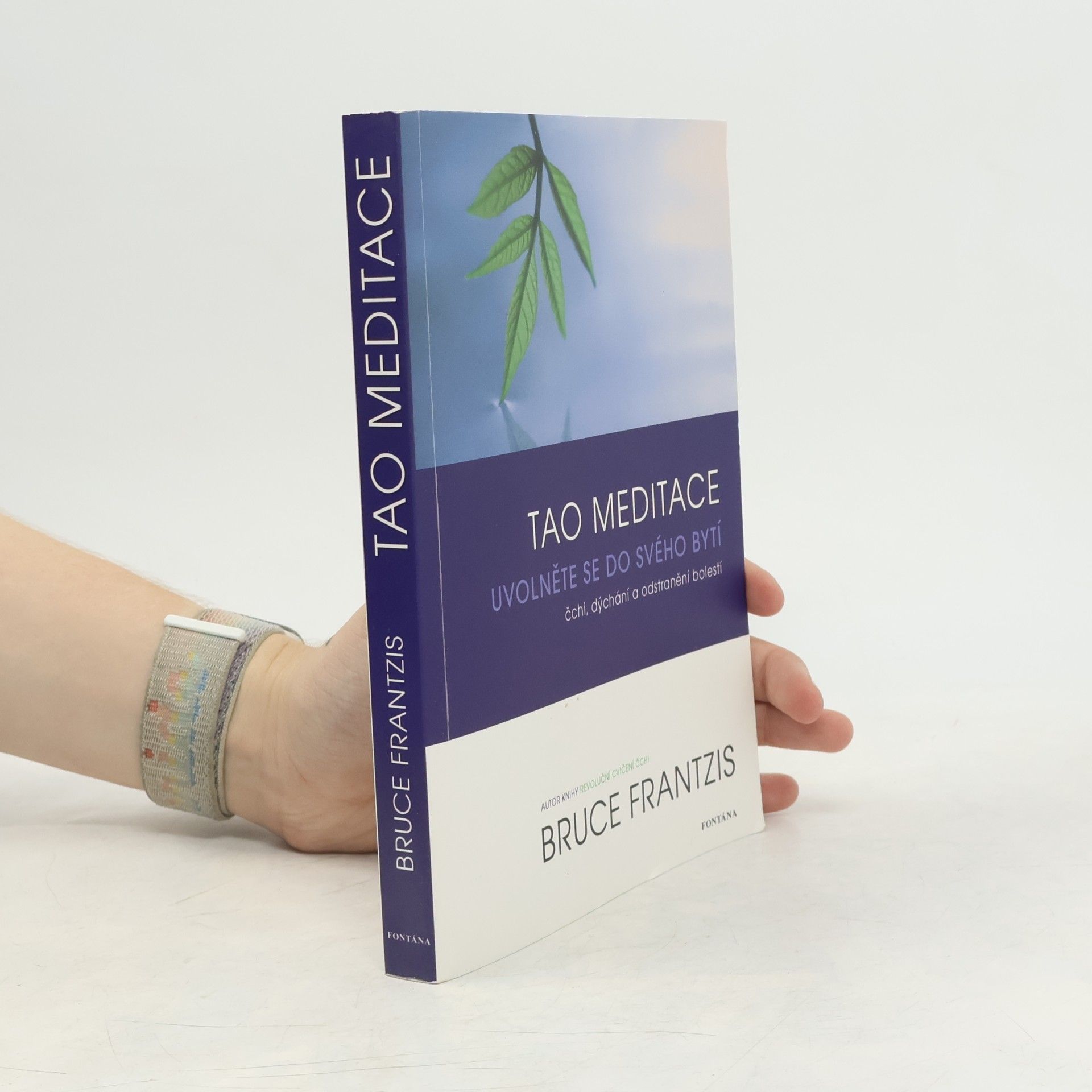 Bruce Frantzis Tao meditace. Uvolněte se do svého bytí: čchi, dýchání a odstranění bolesti
