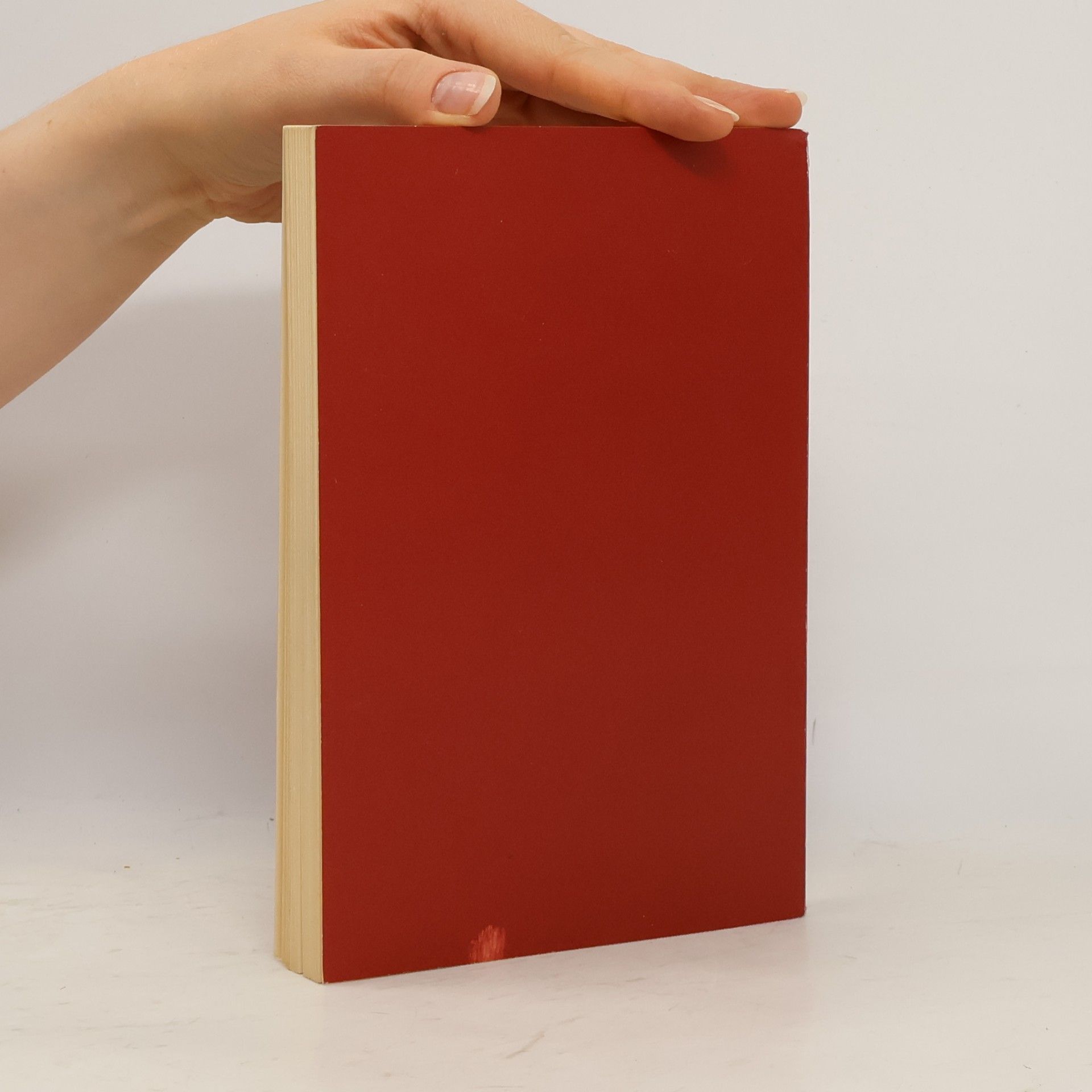 Autorenkollektiv The Album Picture Book of the Rijksmuseum Amsterdam