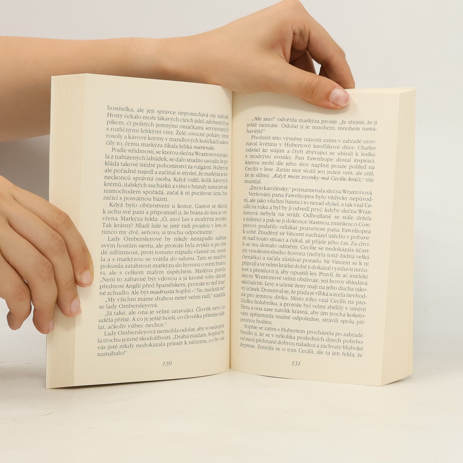 Georgette Heyer Vznešená Sophie