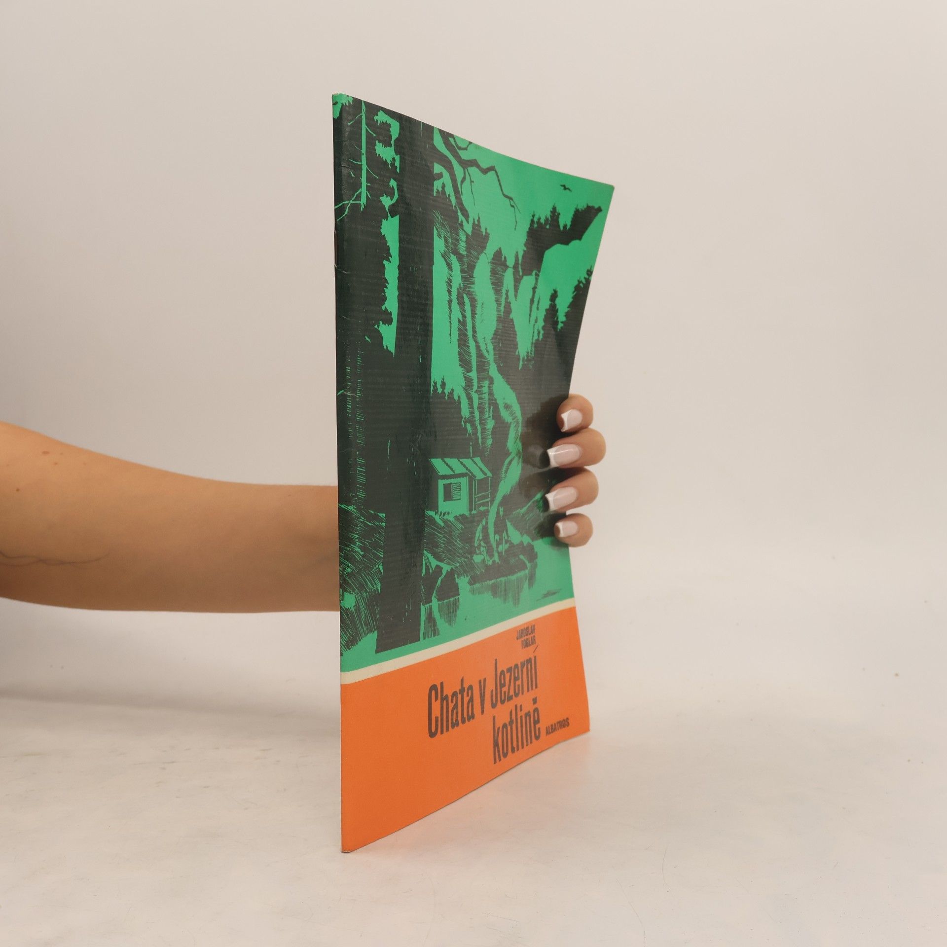Chata v Jezerní kotlině