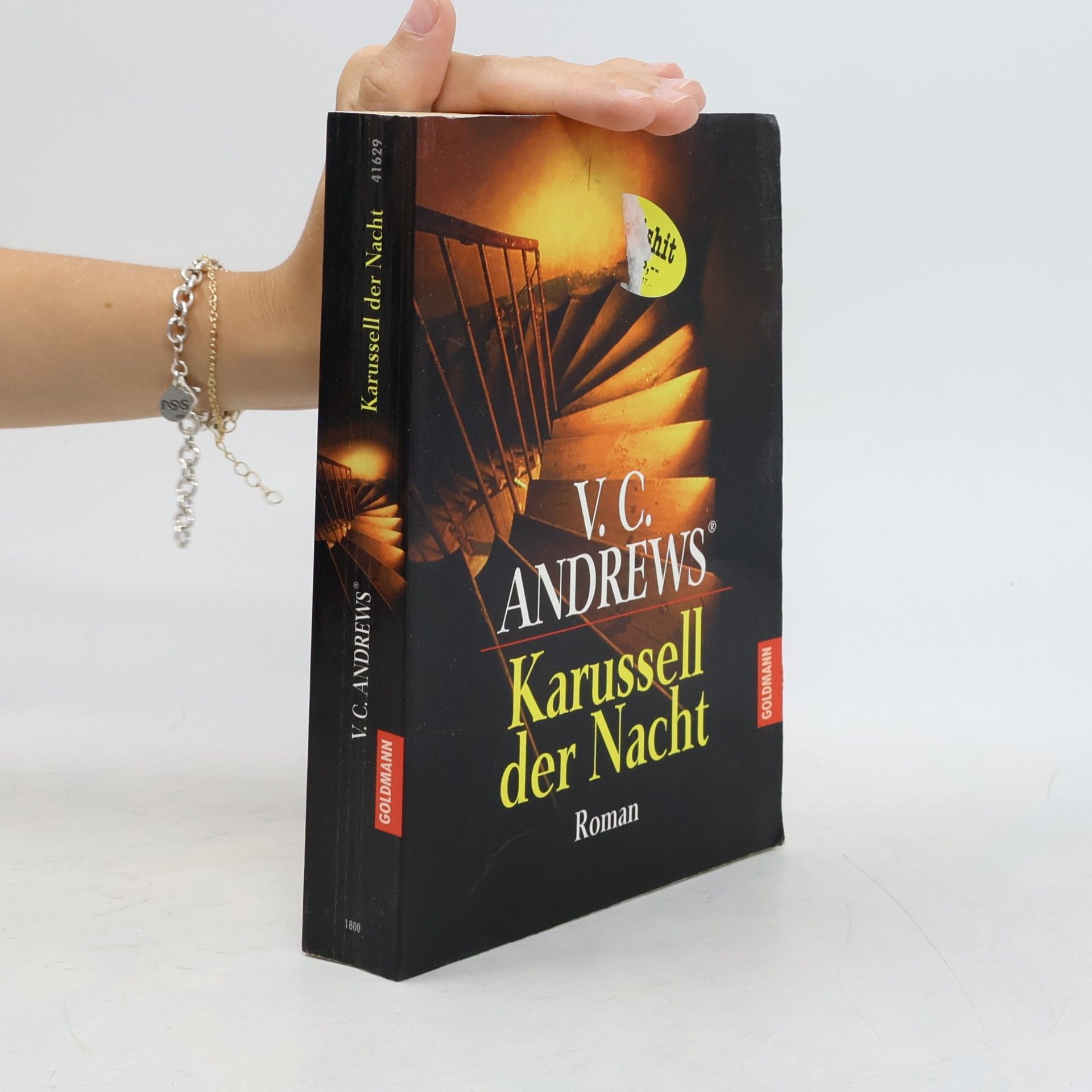 V. C. Andrews Karussell der Nacht