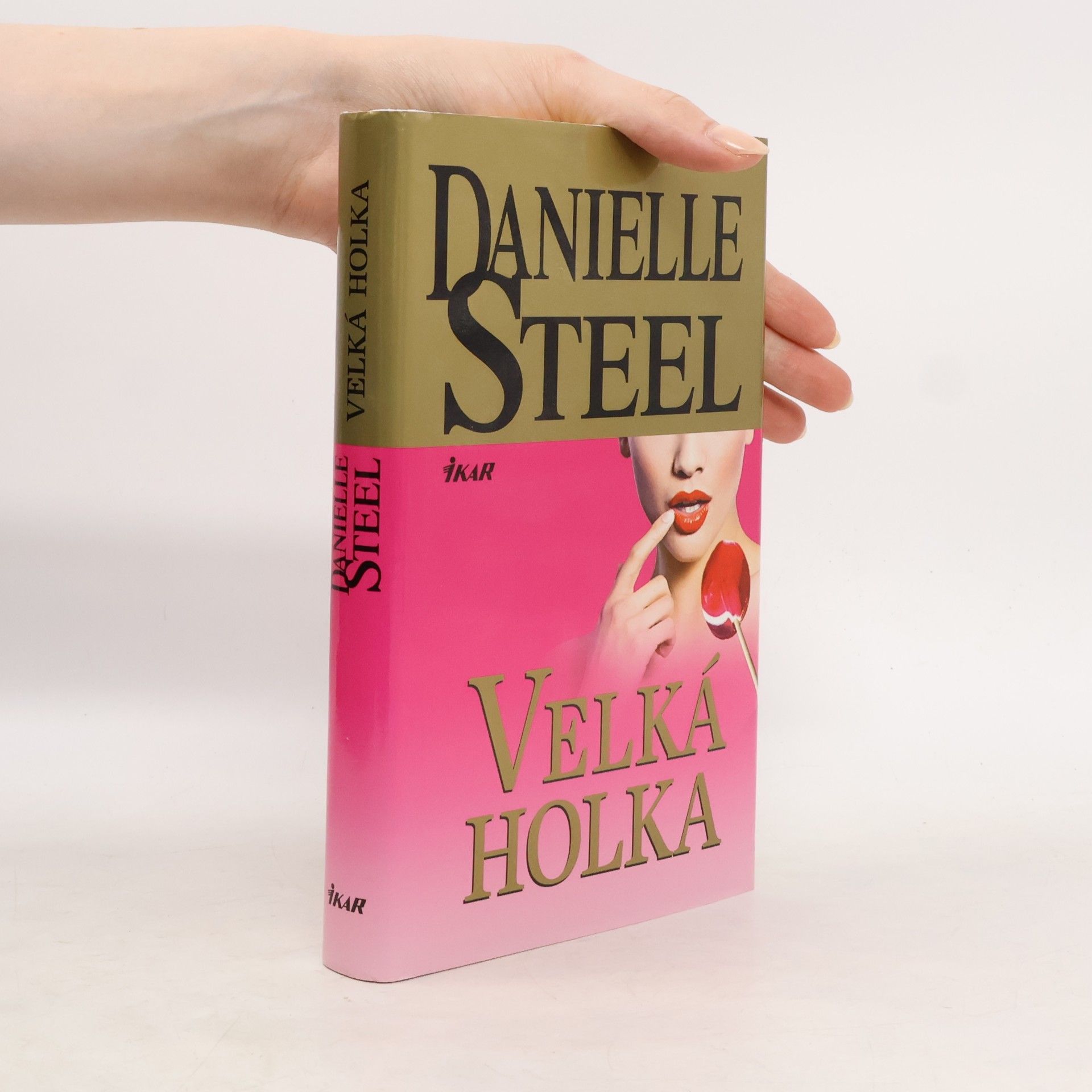 Danielle Steel Velká holka