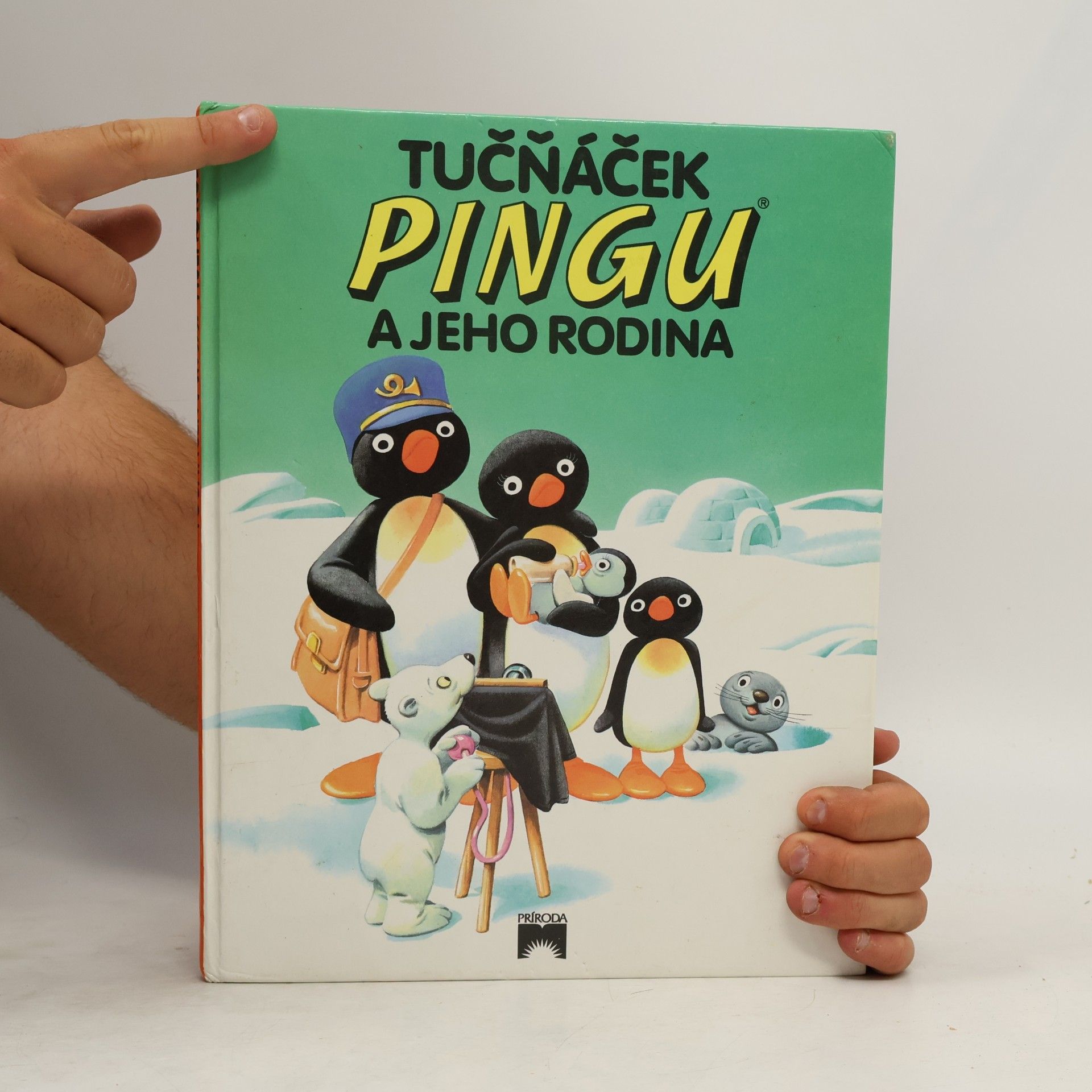 Sibylle Heer von Flüe Tučňáček Pingu a jeho rodina