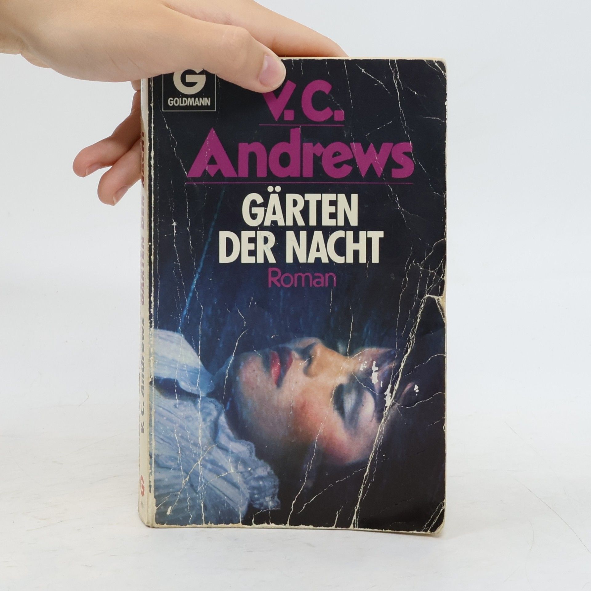 V. C. Andrews Gärten der Nacht