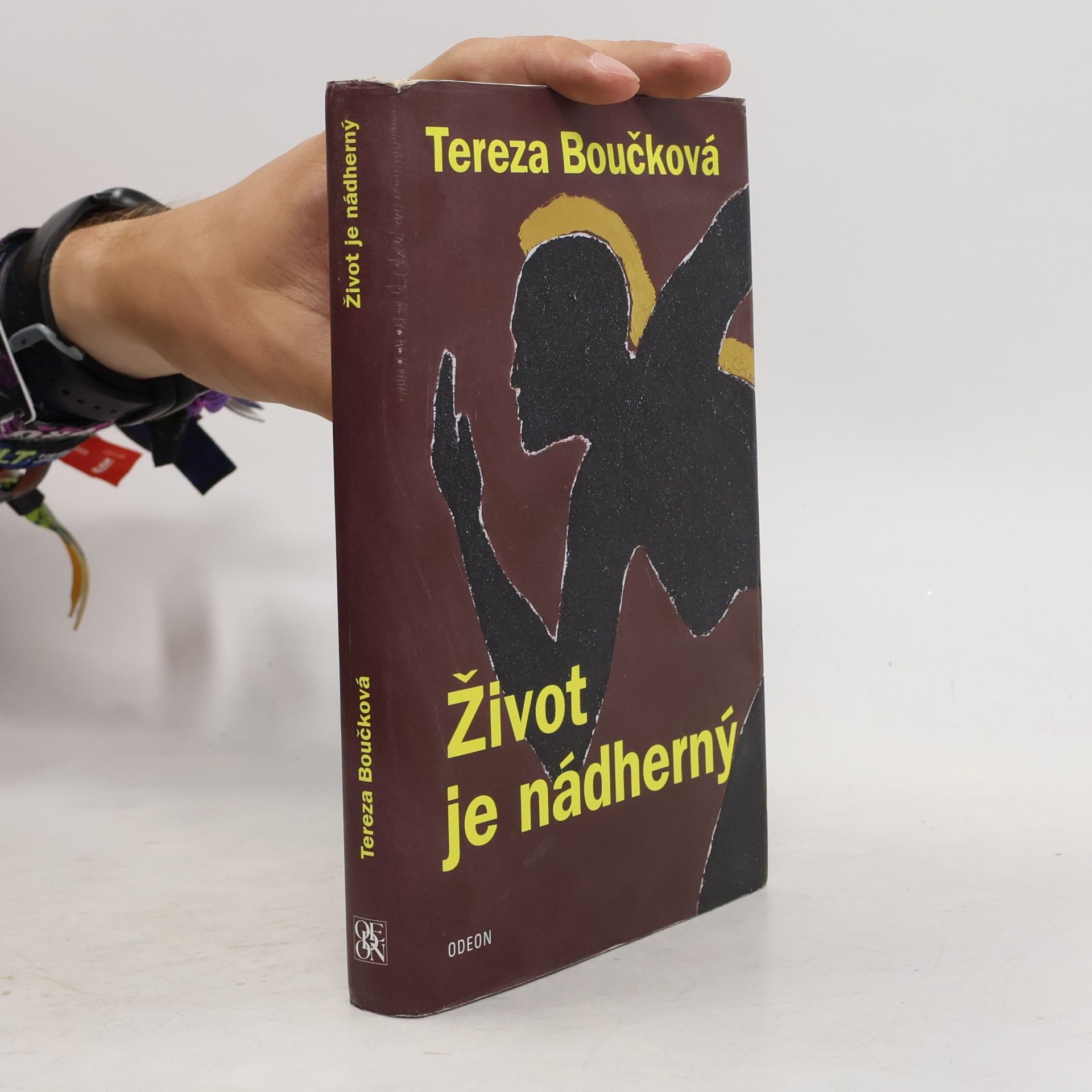 Tereza Boučková Život je nádherný
