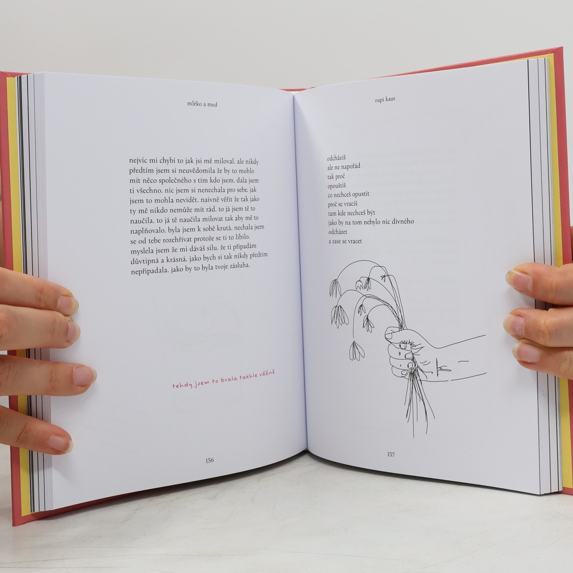 Rupi Kaur Mléko a med. Sběratelská edice k desátému výročí vydání