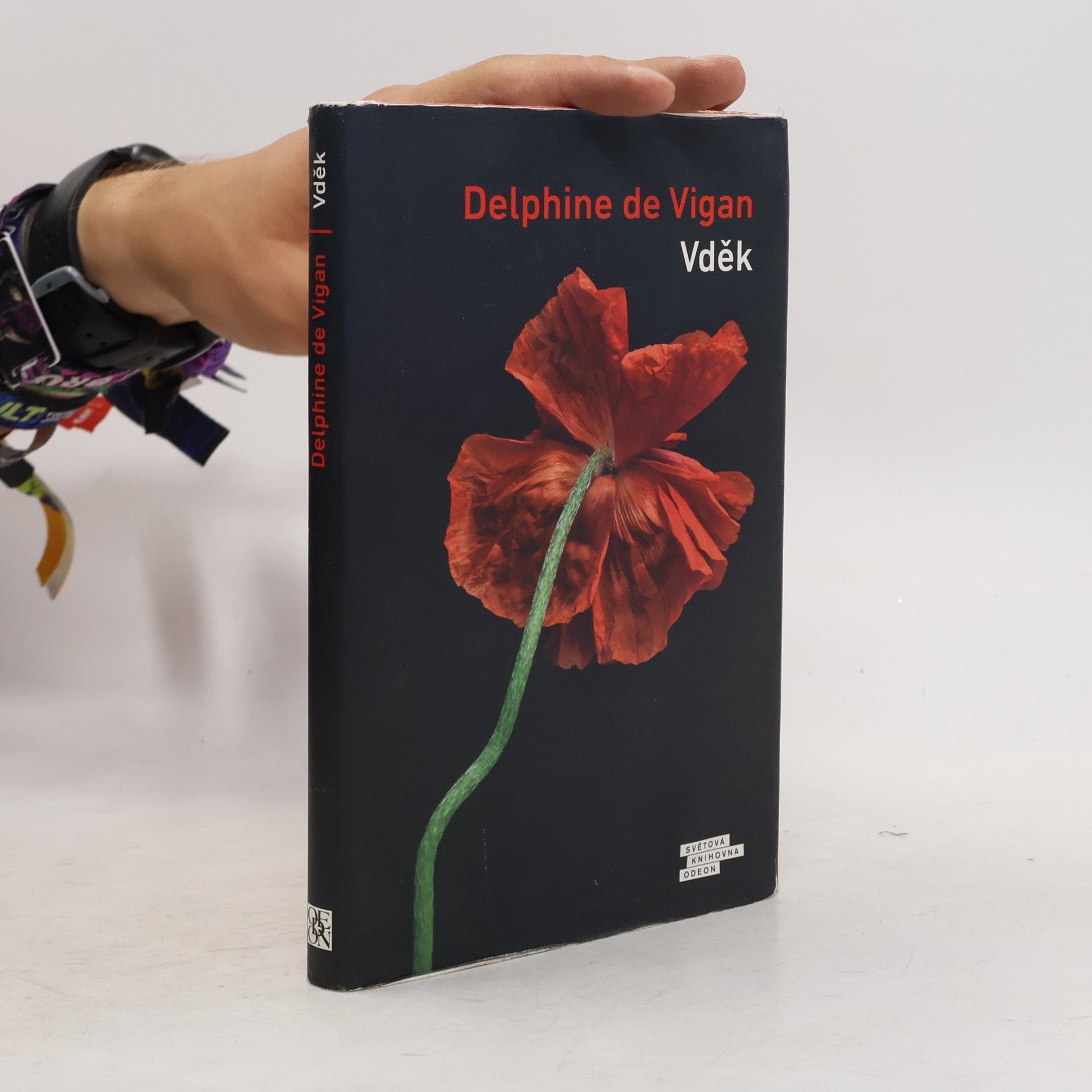 Delphine de Vigan Vděk